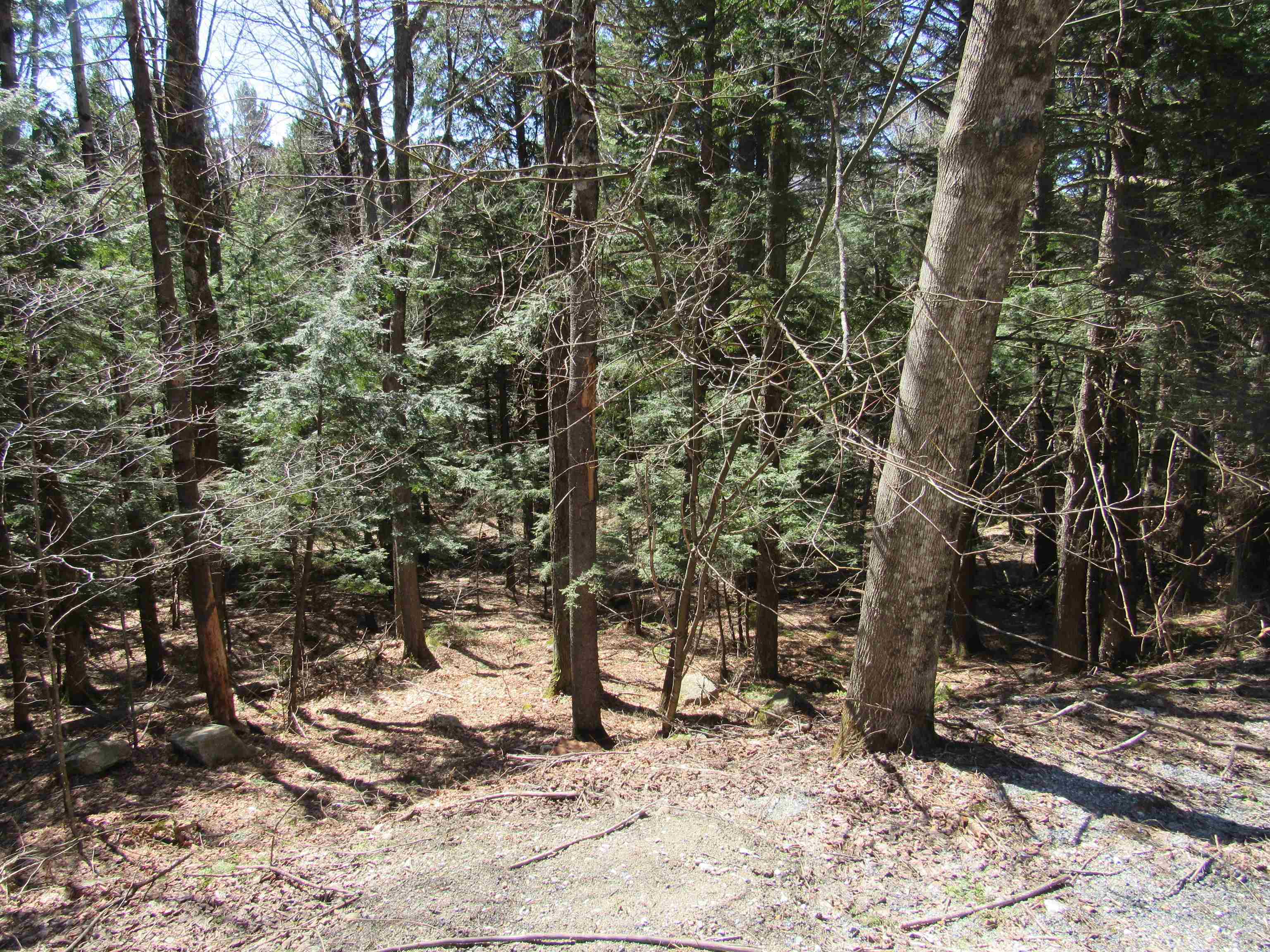 0 Stratton View Road Property Photo 4