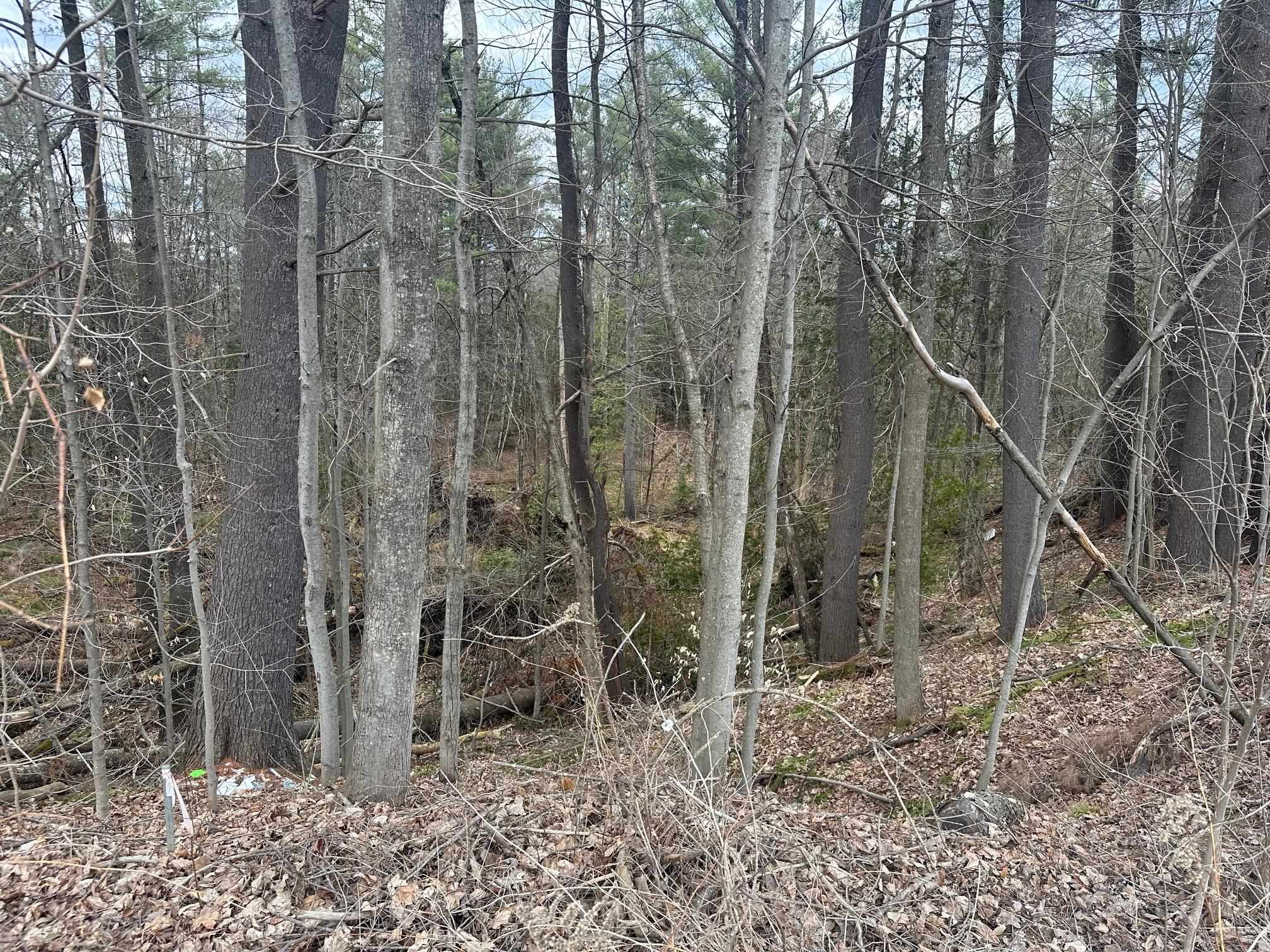 75 Plains Road Property Photo 14