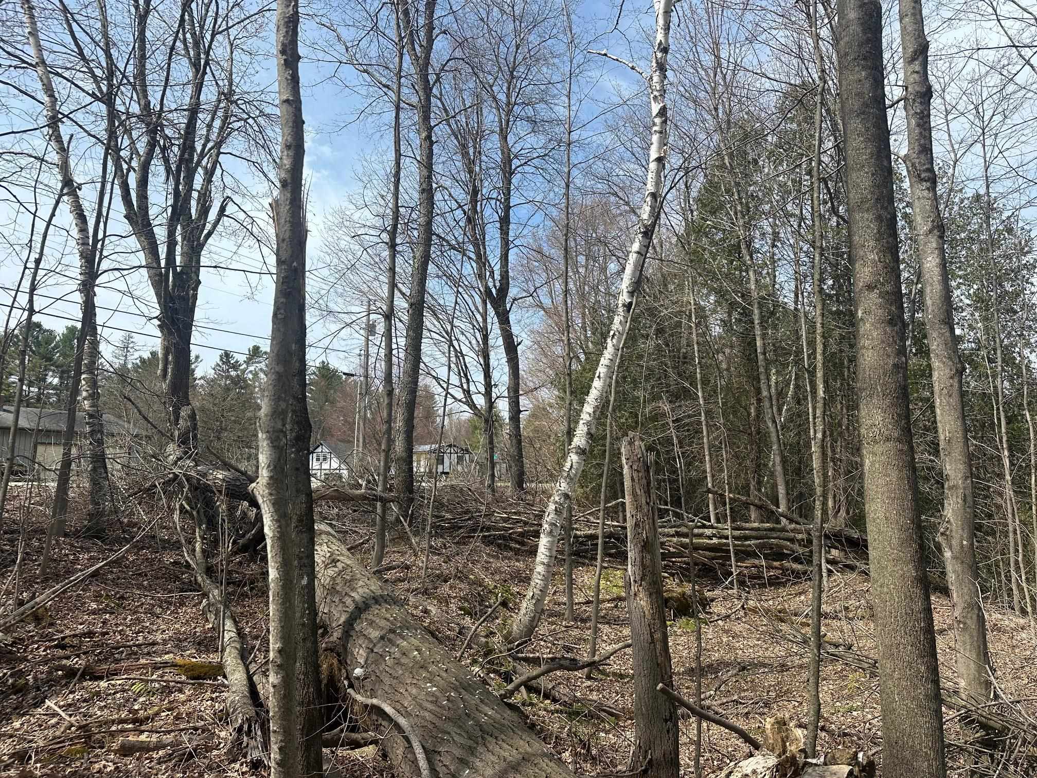 75 Plains Road Property Photo 17