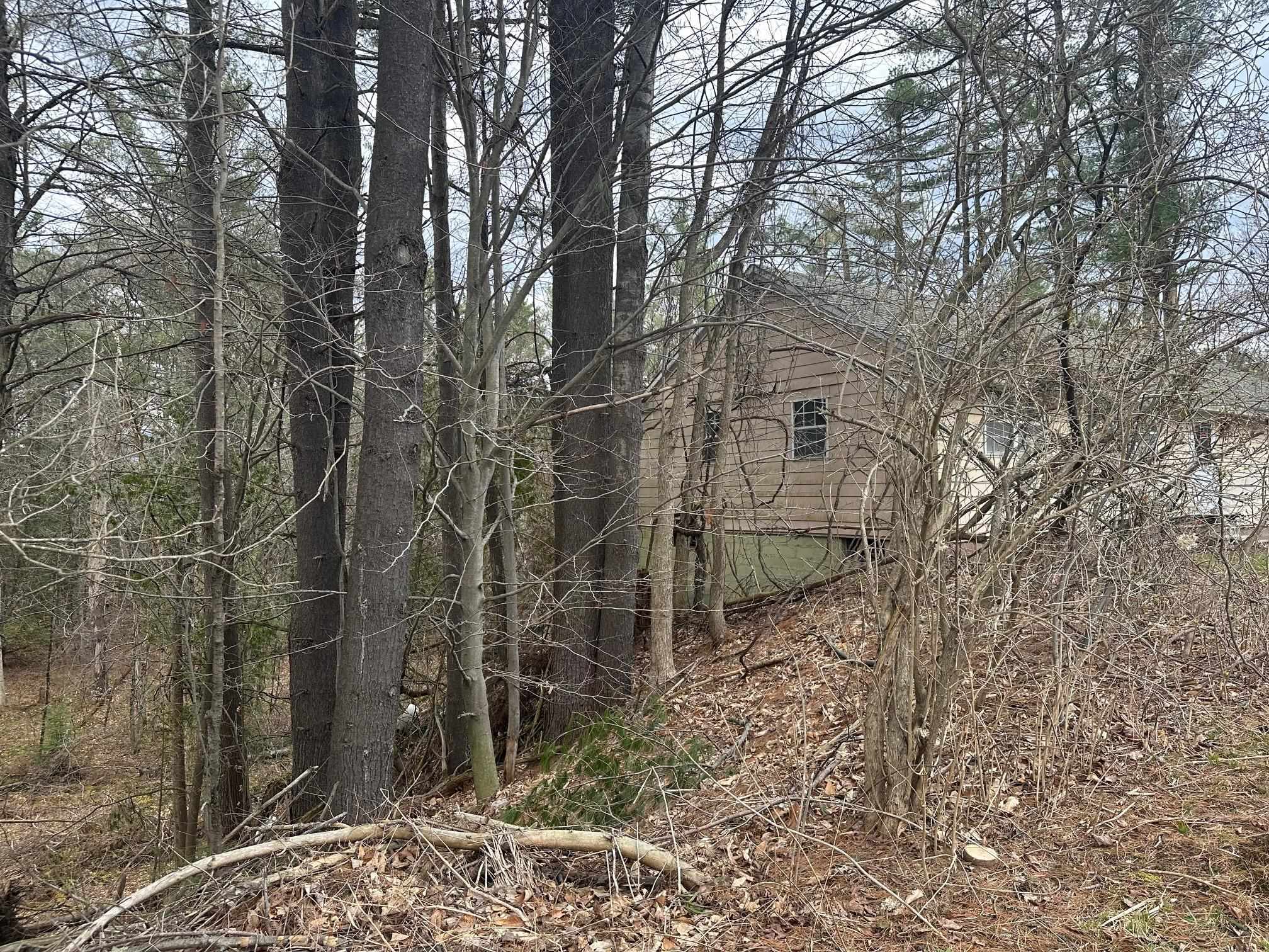 75 Plains Road Property Photo 26
