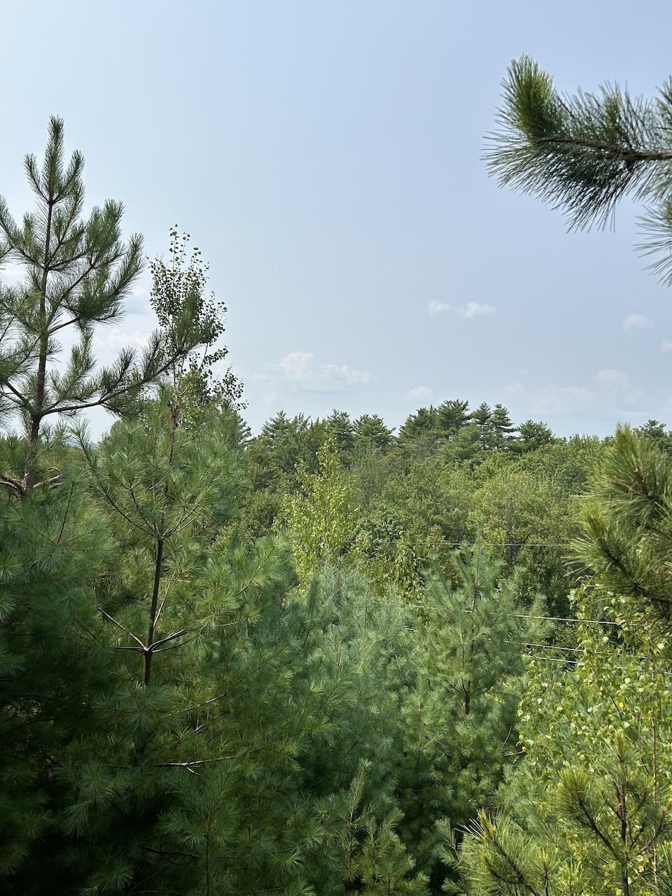 36 Grimstone Drive Property Photo 3