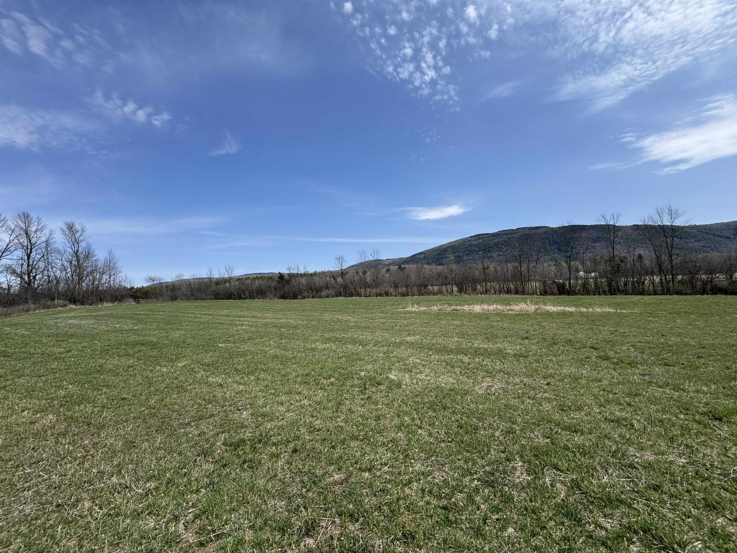New Haven Real Estate Listings Main Image