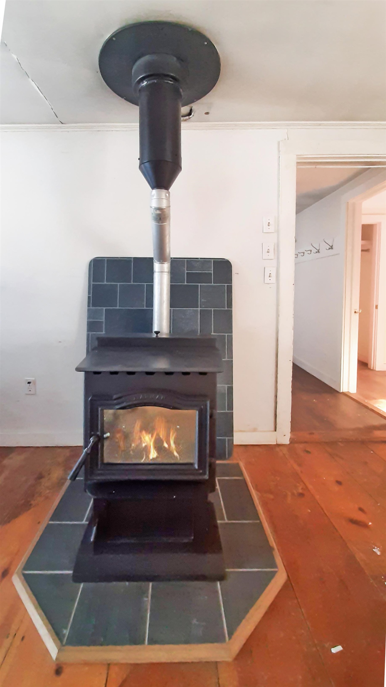 1568 South Hill Road Property Photo 6