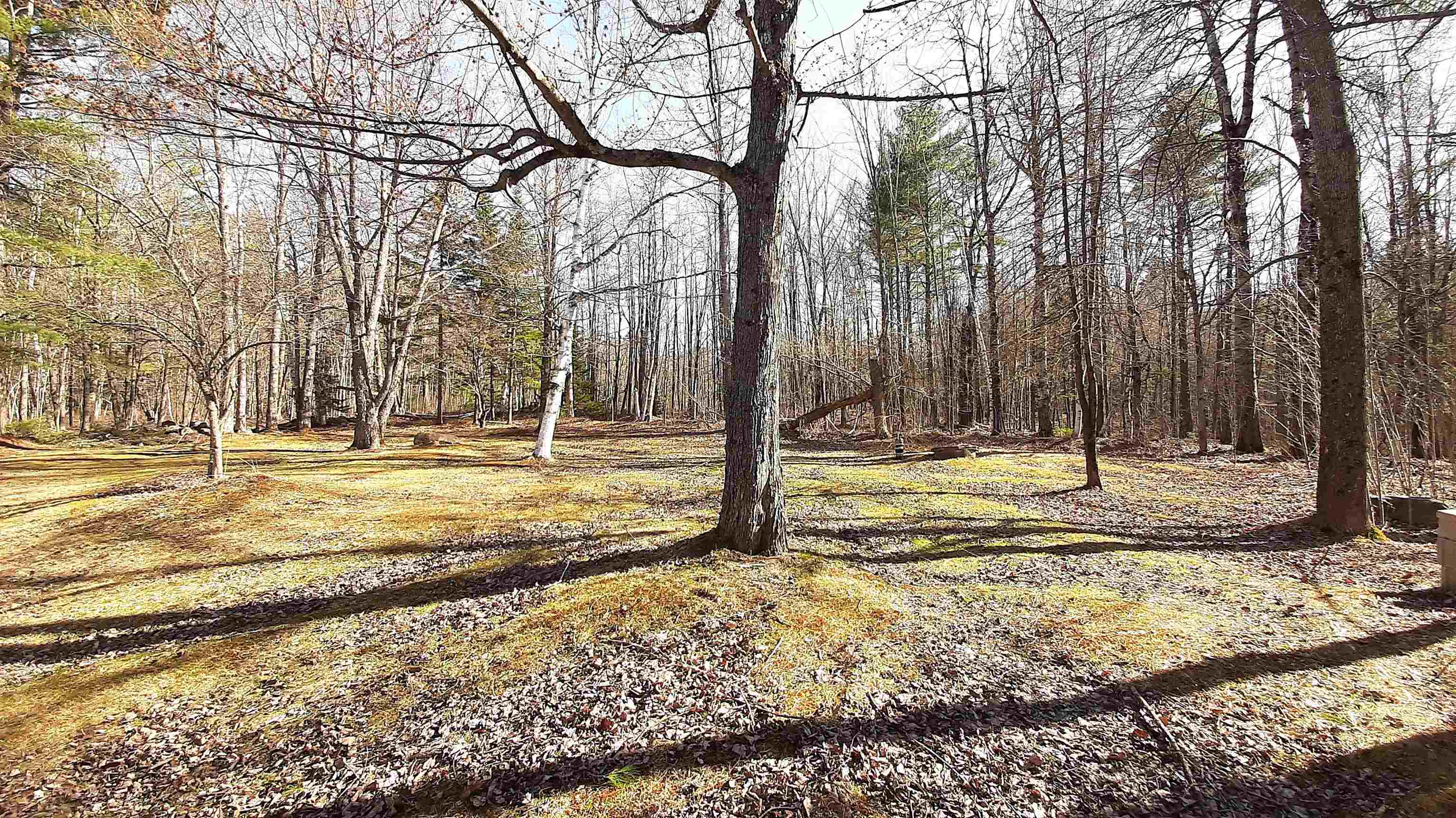 1568 South Hill Road Property Photo 22