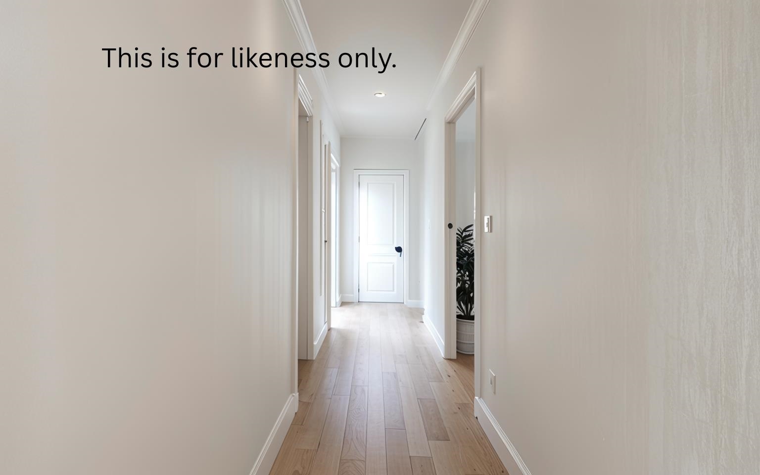 18 Randall Street Property Photo 24