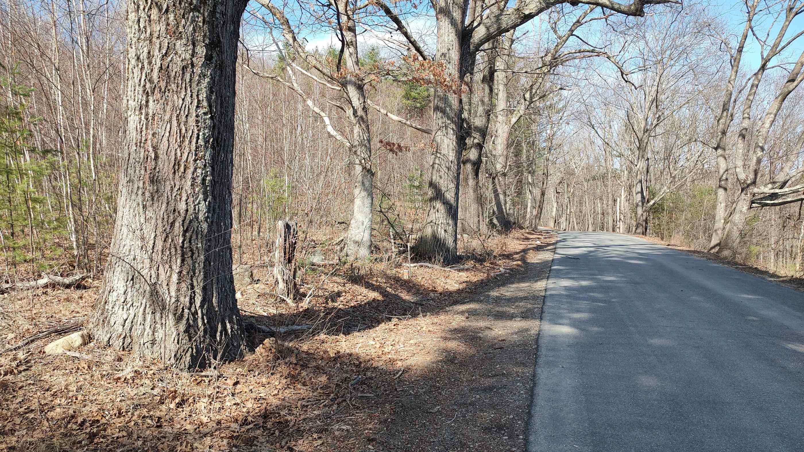 Lot 1-50-1 Colburn Road Property Photo 1