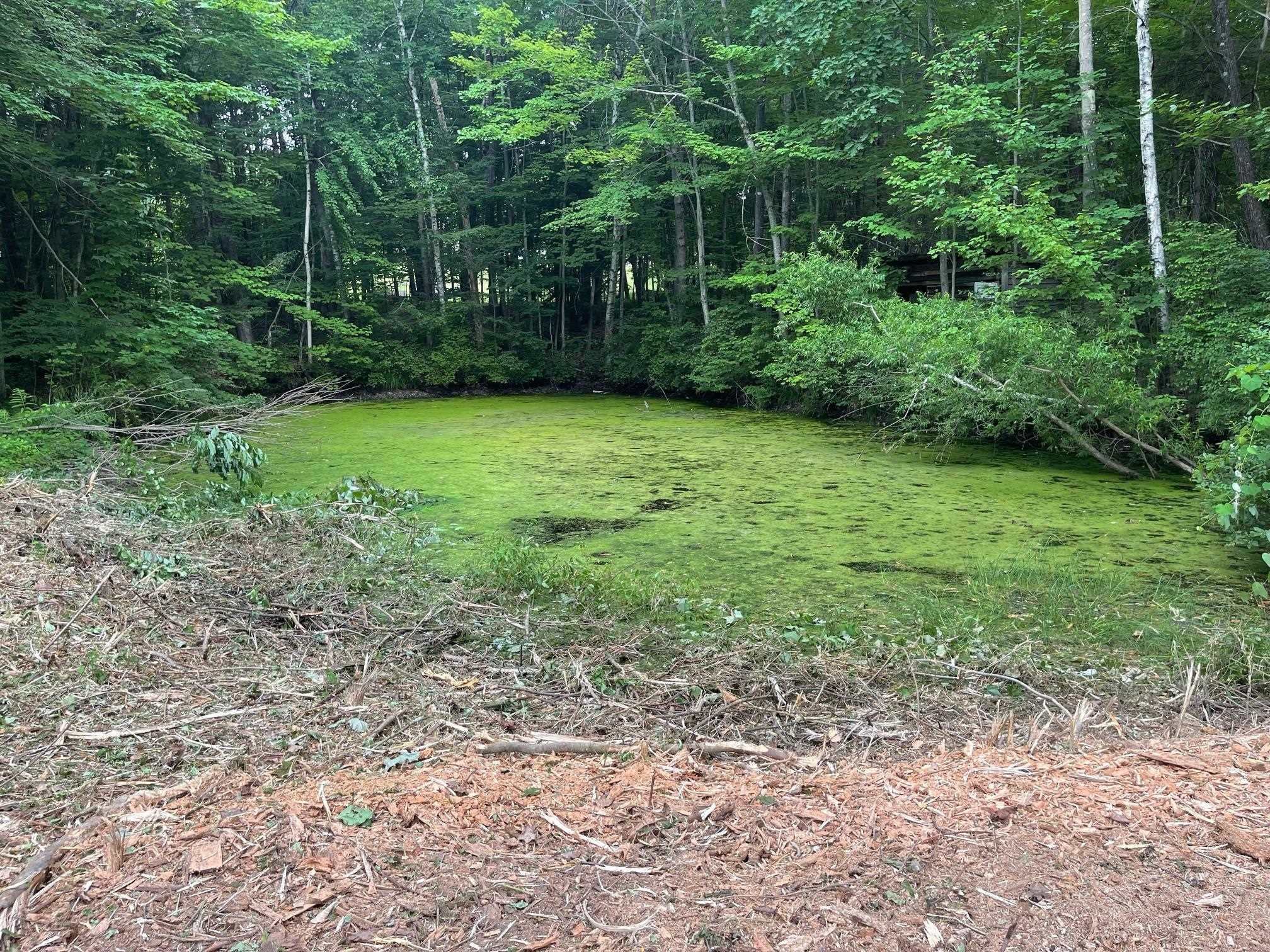 67 Christian Hill Road Property Photo 1