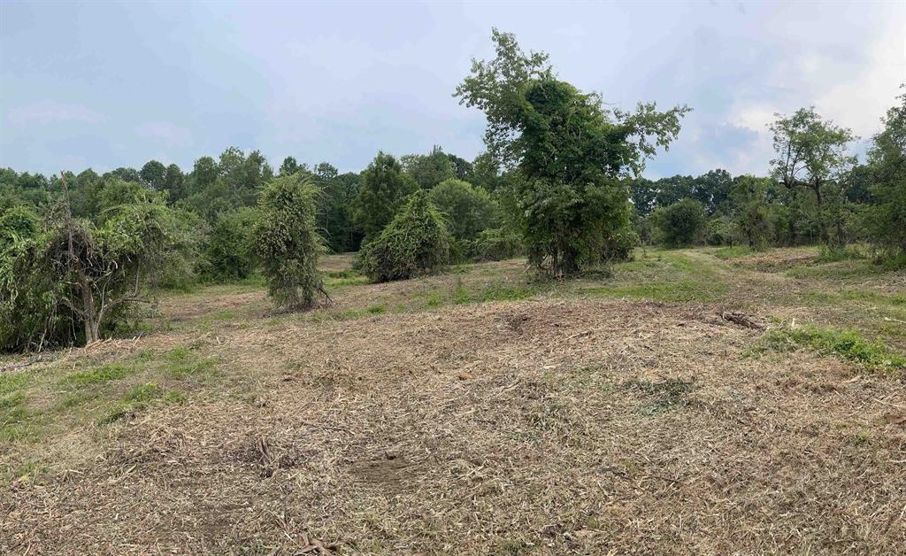 67 Christian Hill Road Property Photo 2