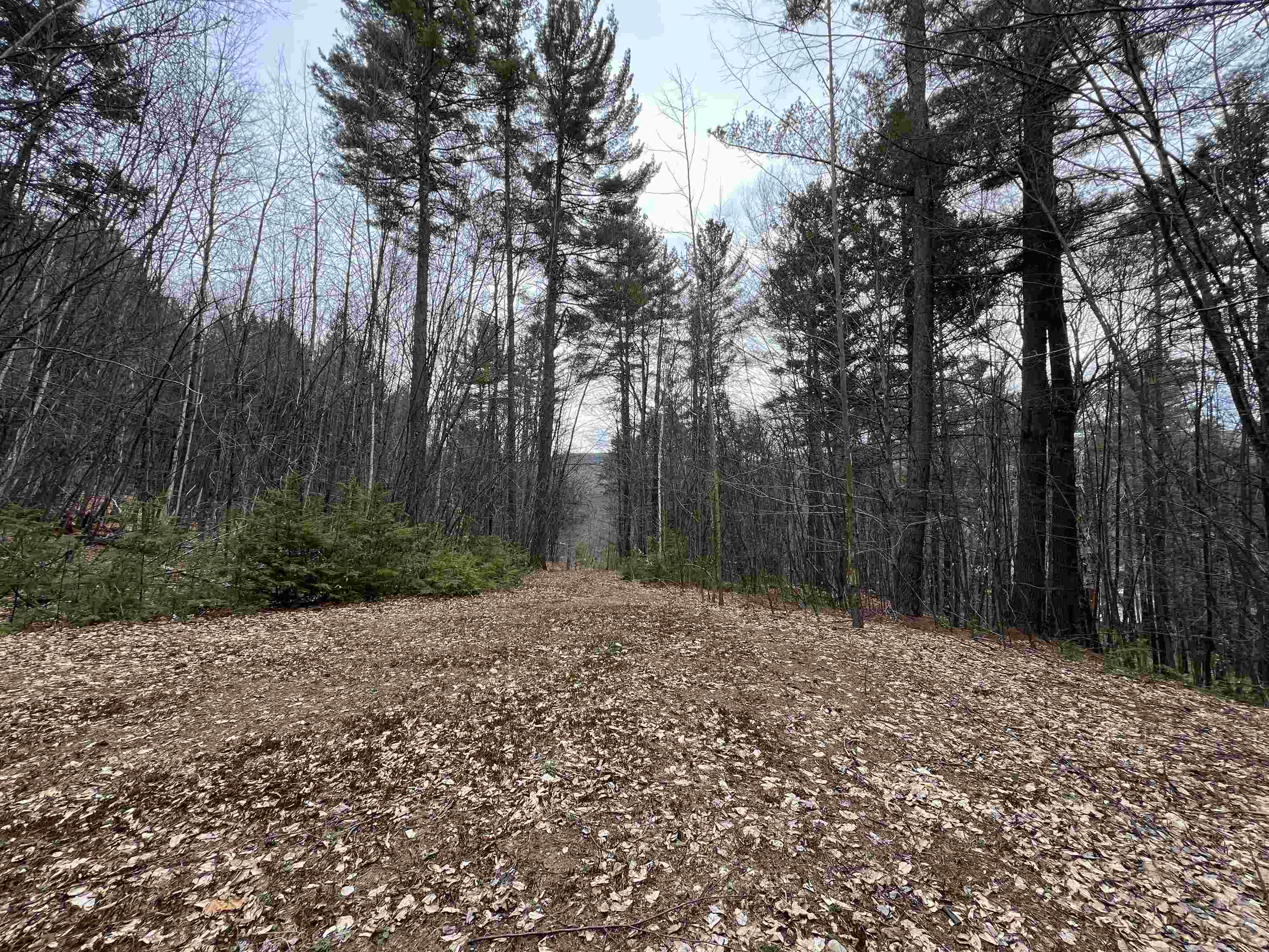 Townshend Real Estate Listings Main Image