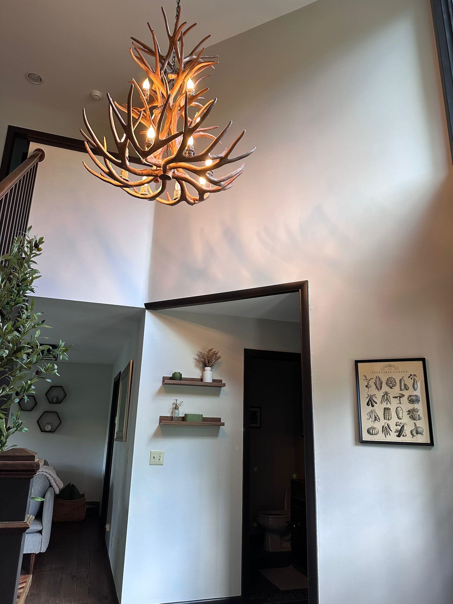 20 Jamie Lane Property Photo 17
