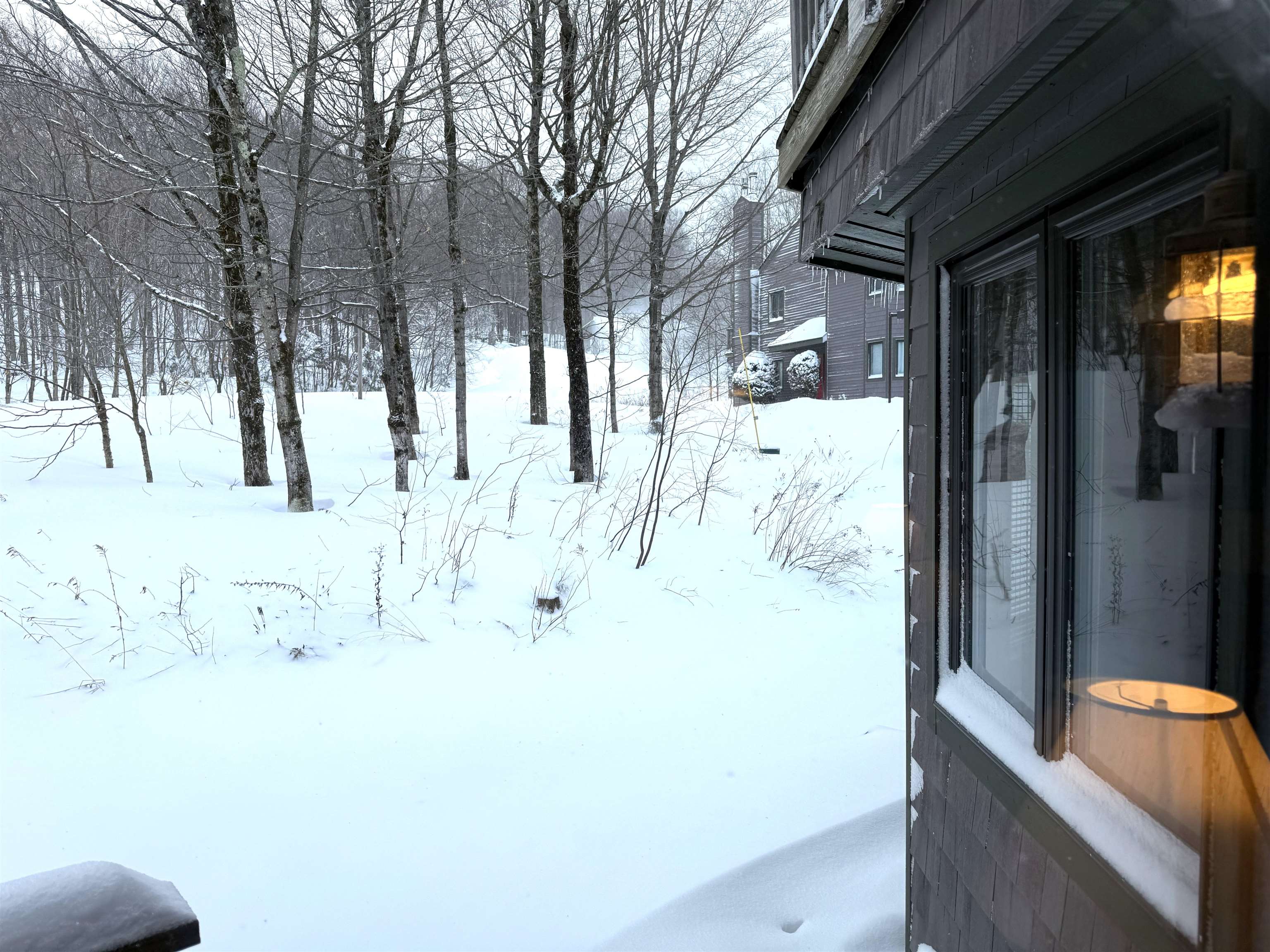 334 Slopeside Road Property Photo 17