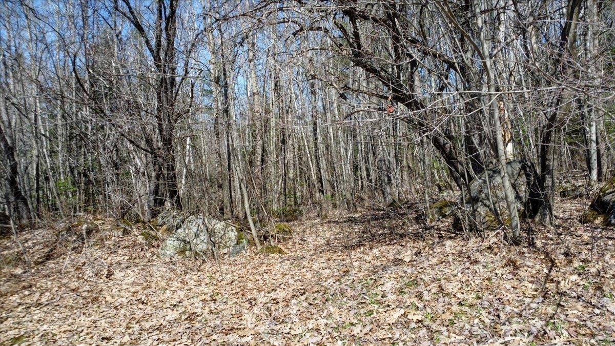 1928 West Lunenburg Road Property Photo 23