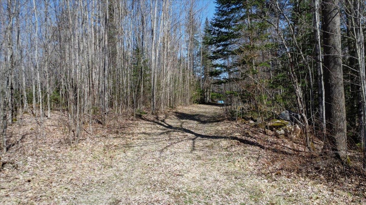 1928 West Lunenburg Road Property Photo 25