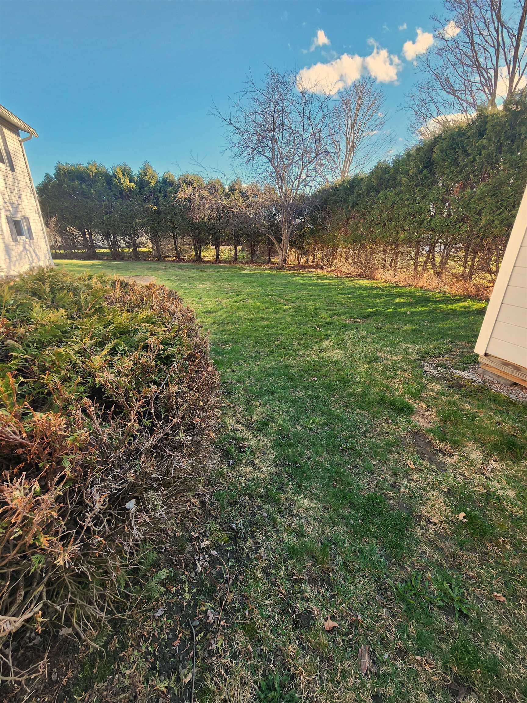 94 Cassie Street Property Photo 37