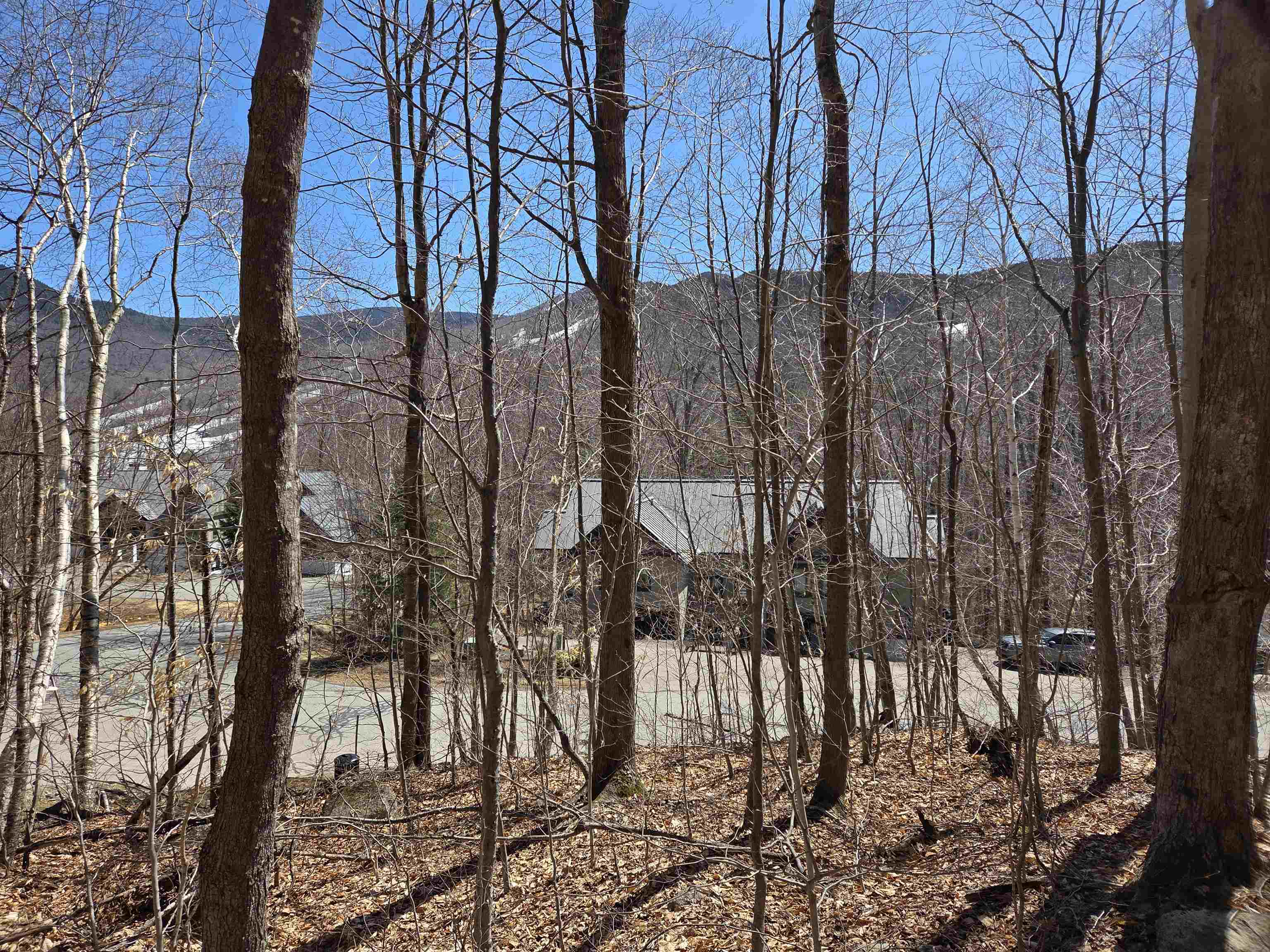 58 Westview Road Property Photo 3