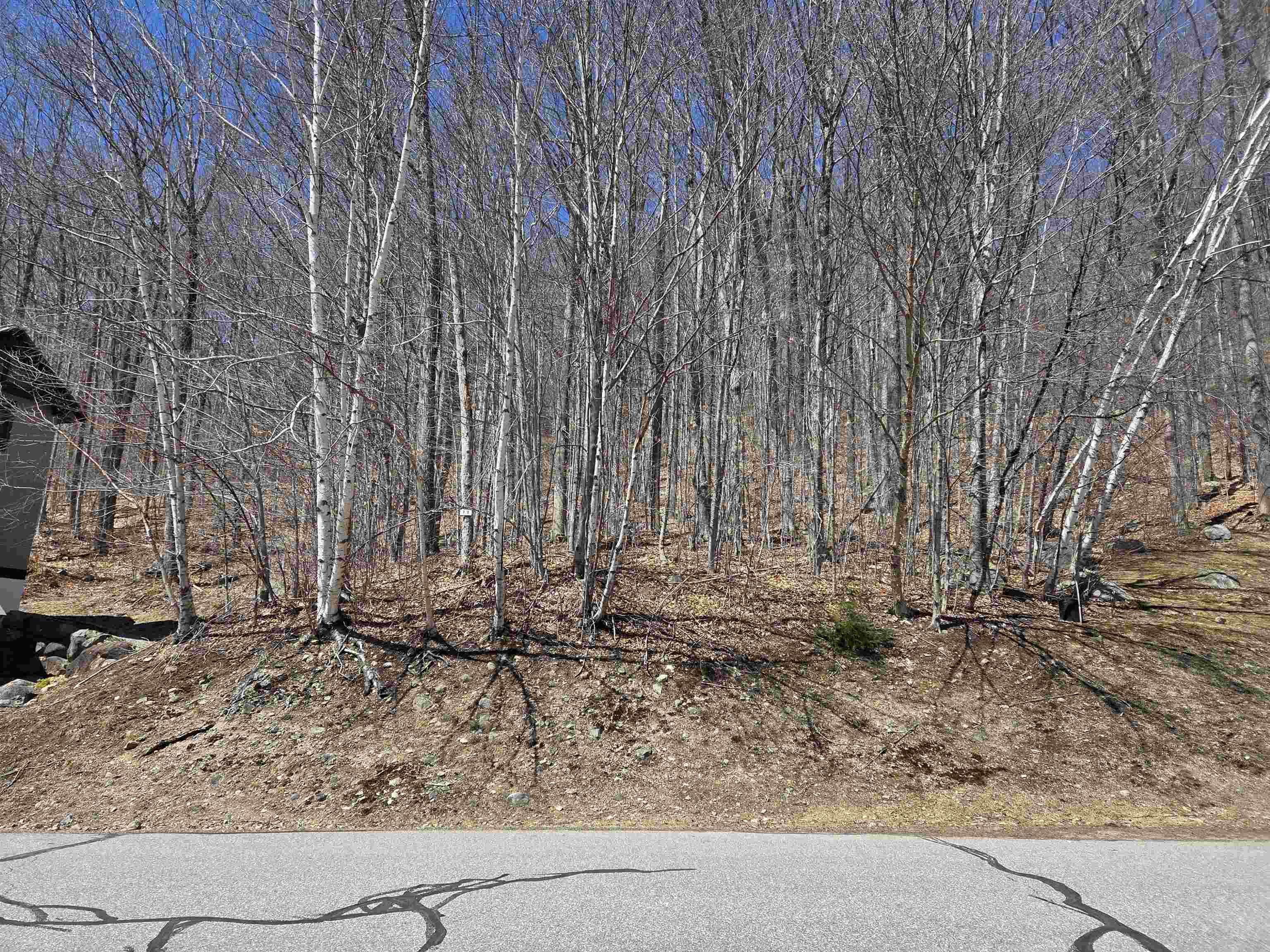 58 Westview Road Property Photo 8