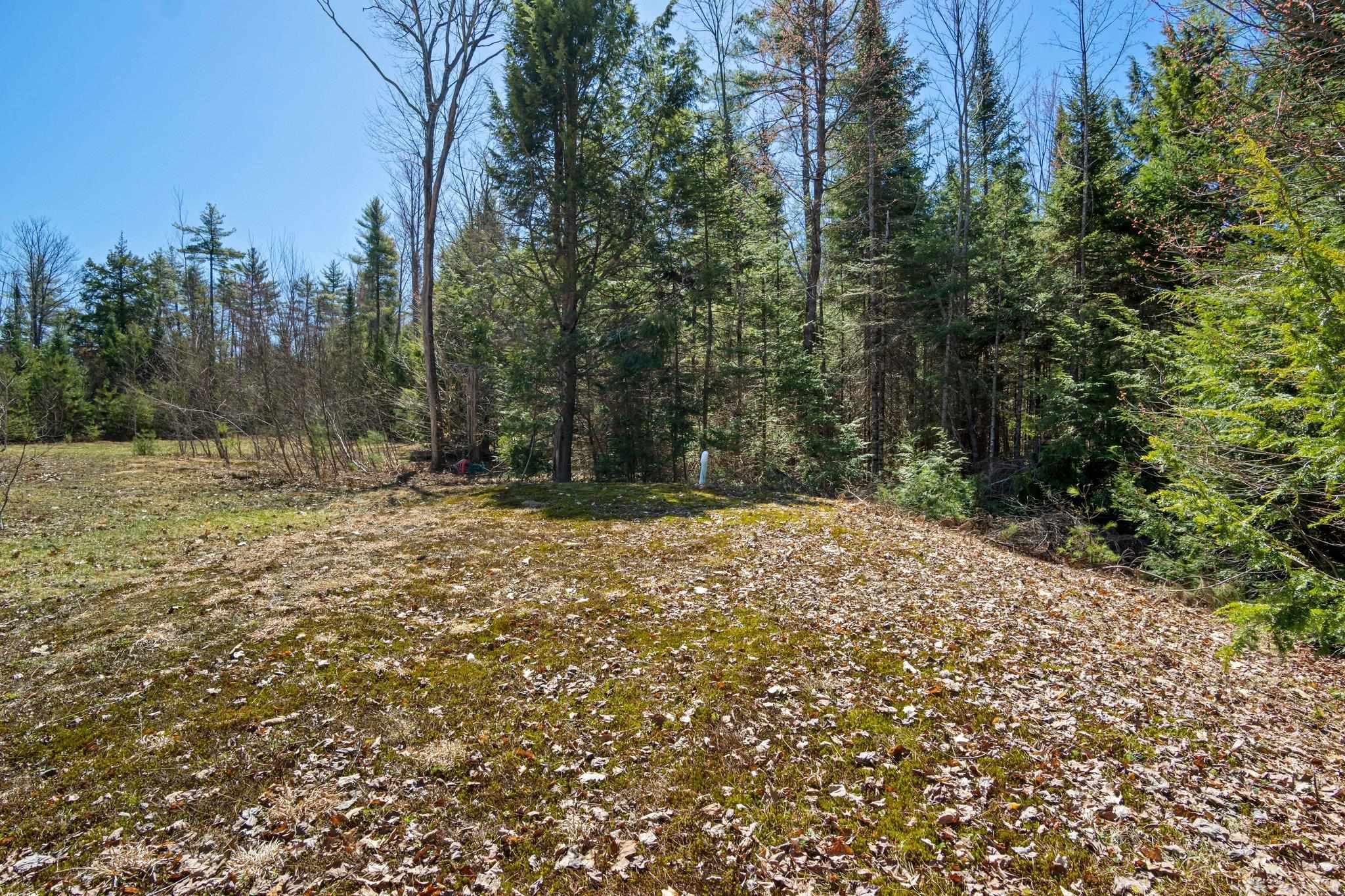 95 Stevens Road Property Photo 21