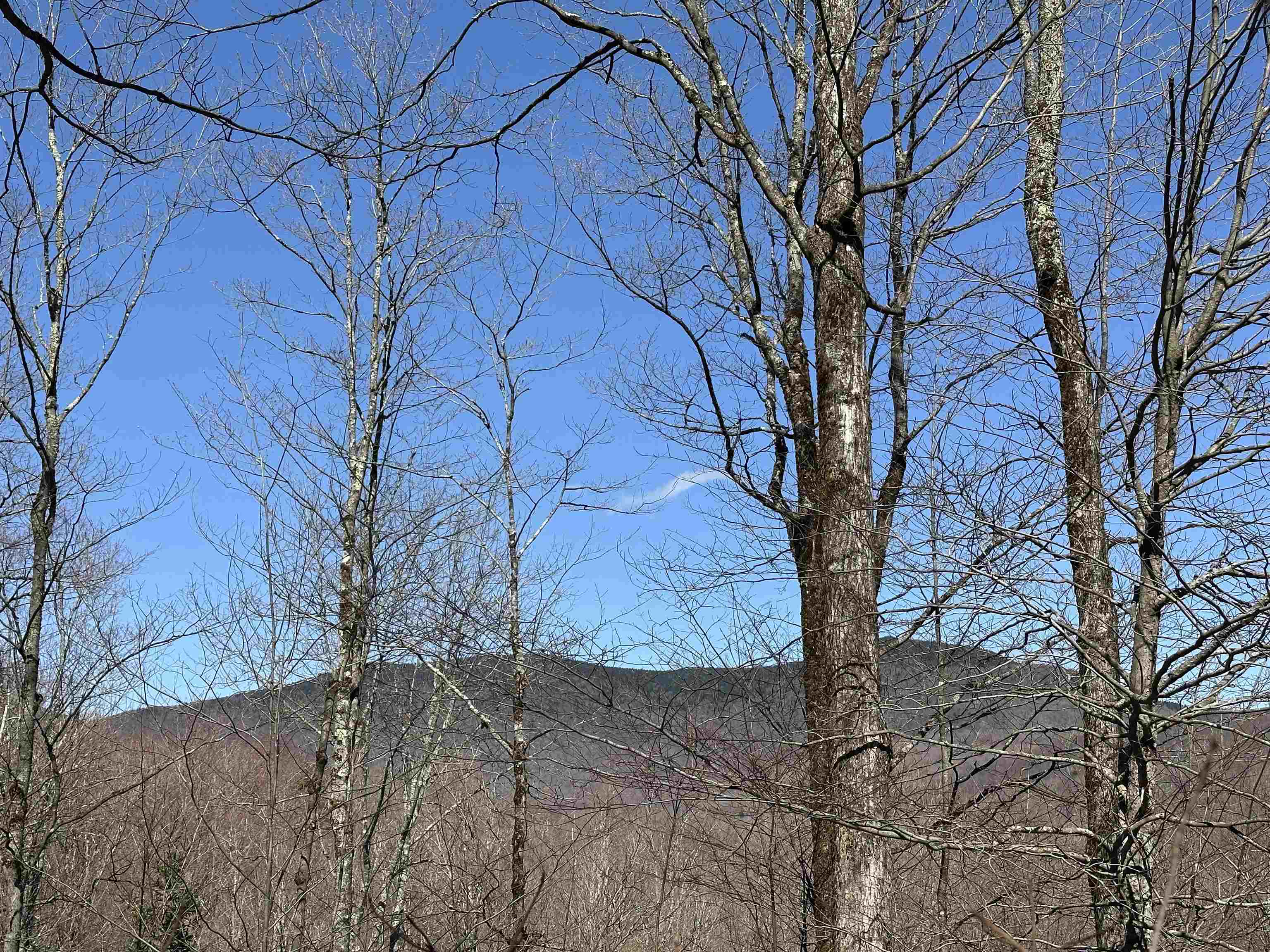 00 Ice Pond Road Property Photo 1