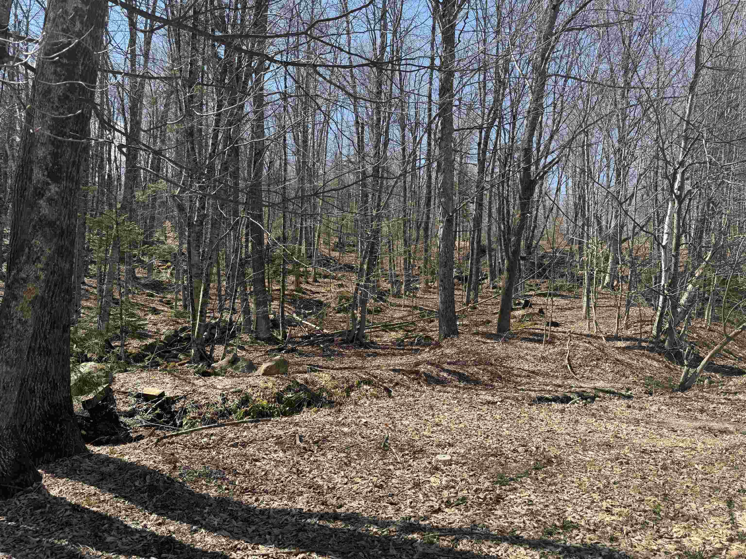 501 Gates Road Property Photo 23