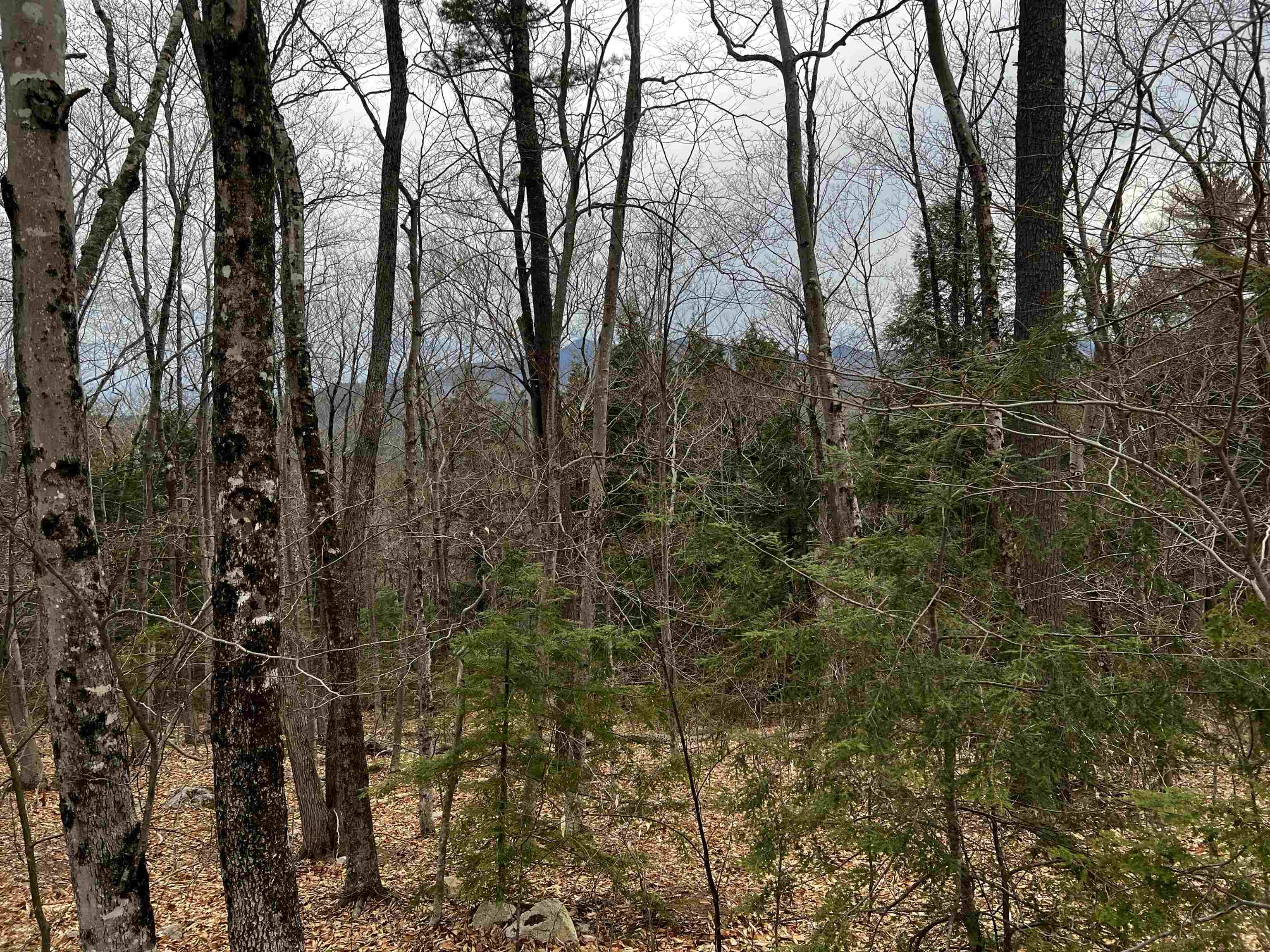40 Aspen Drive Property Photo 1