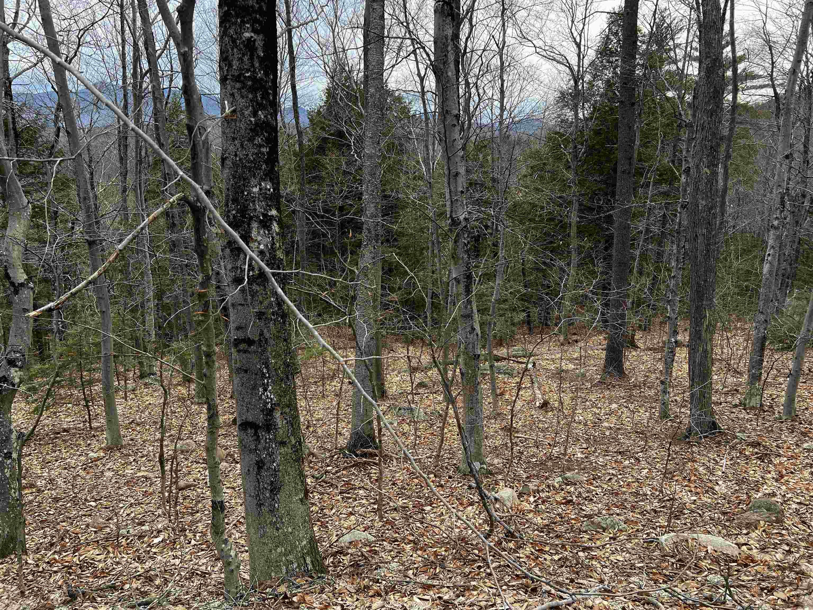 40 Aspen Drive Property Photo 2