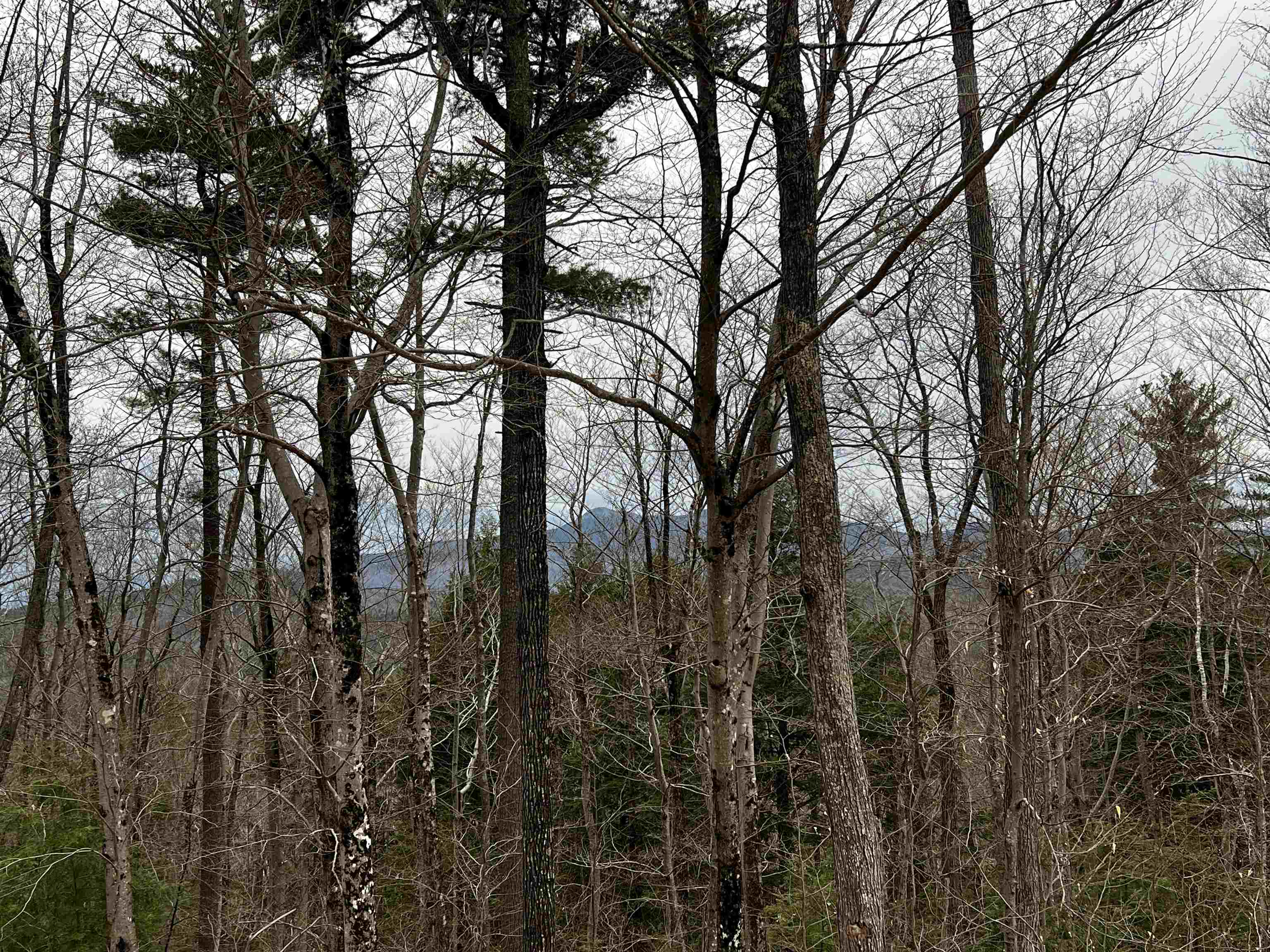 40 Aspen Drive Property Photo 3