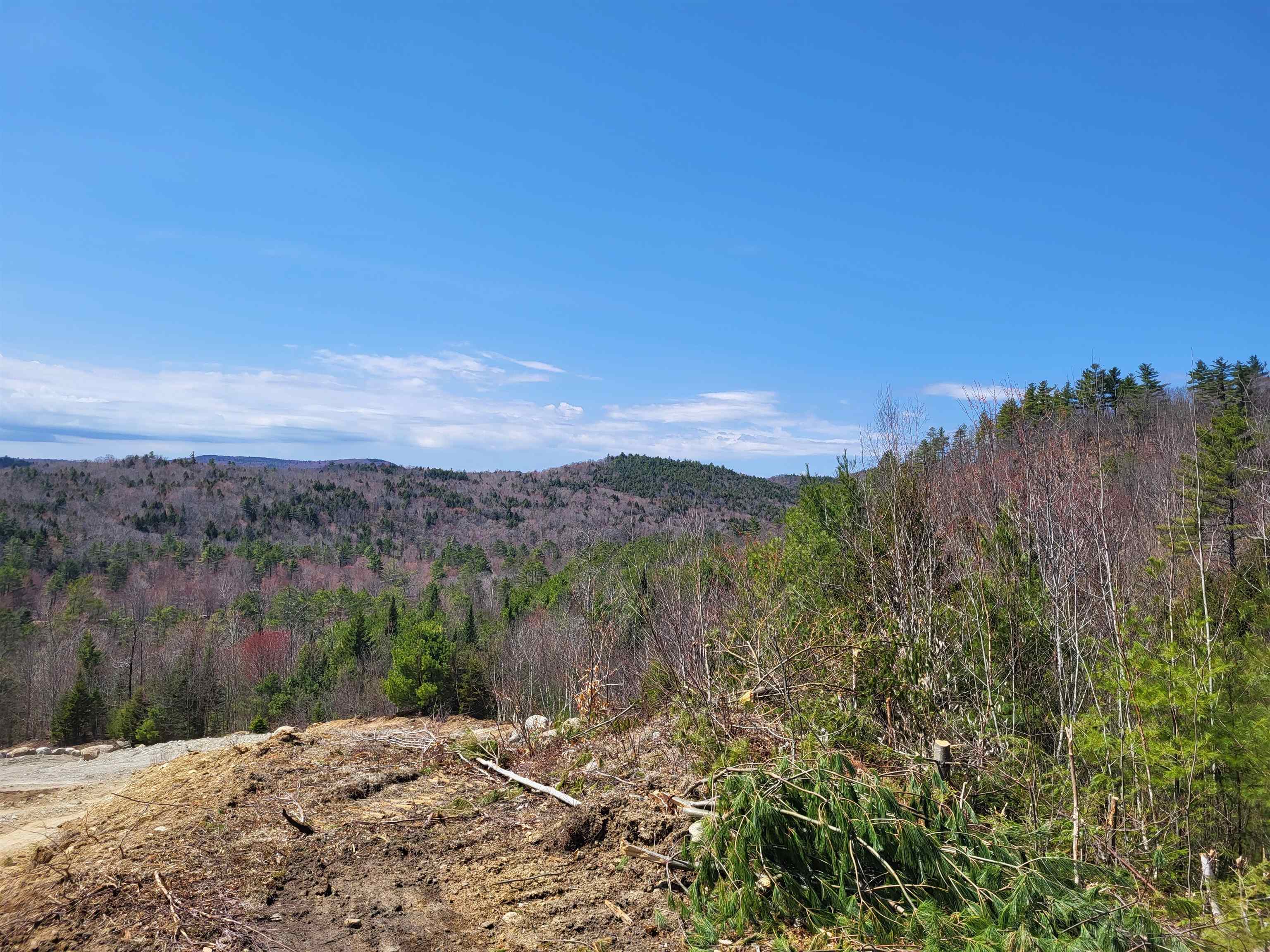 Map 406 Lot 169 Us Route 4 Property Photo 5