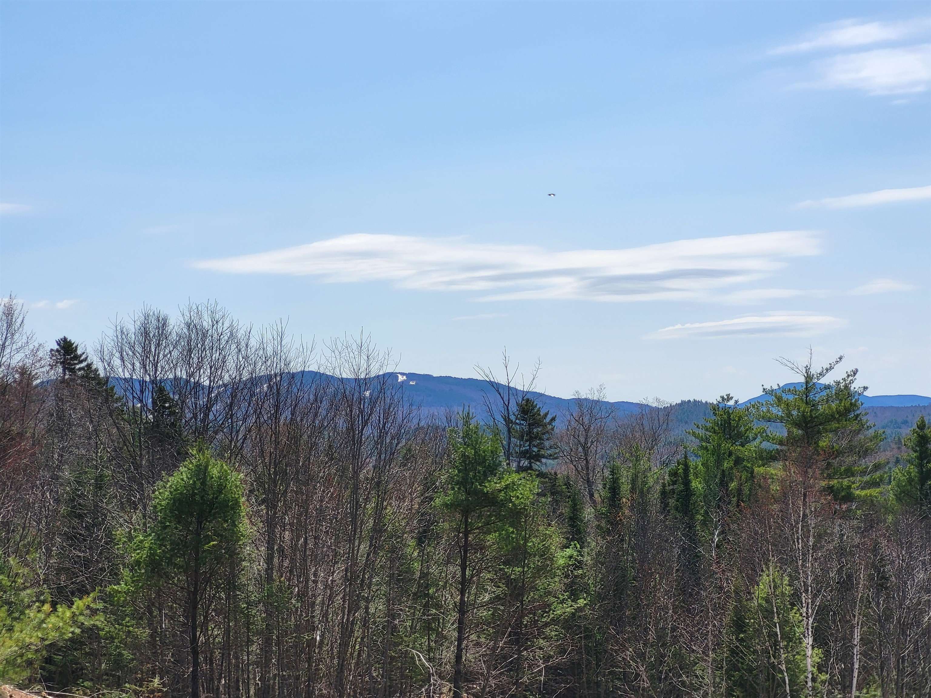 Map 406 Lot 169 Us Route 4 Property Photo 6