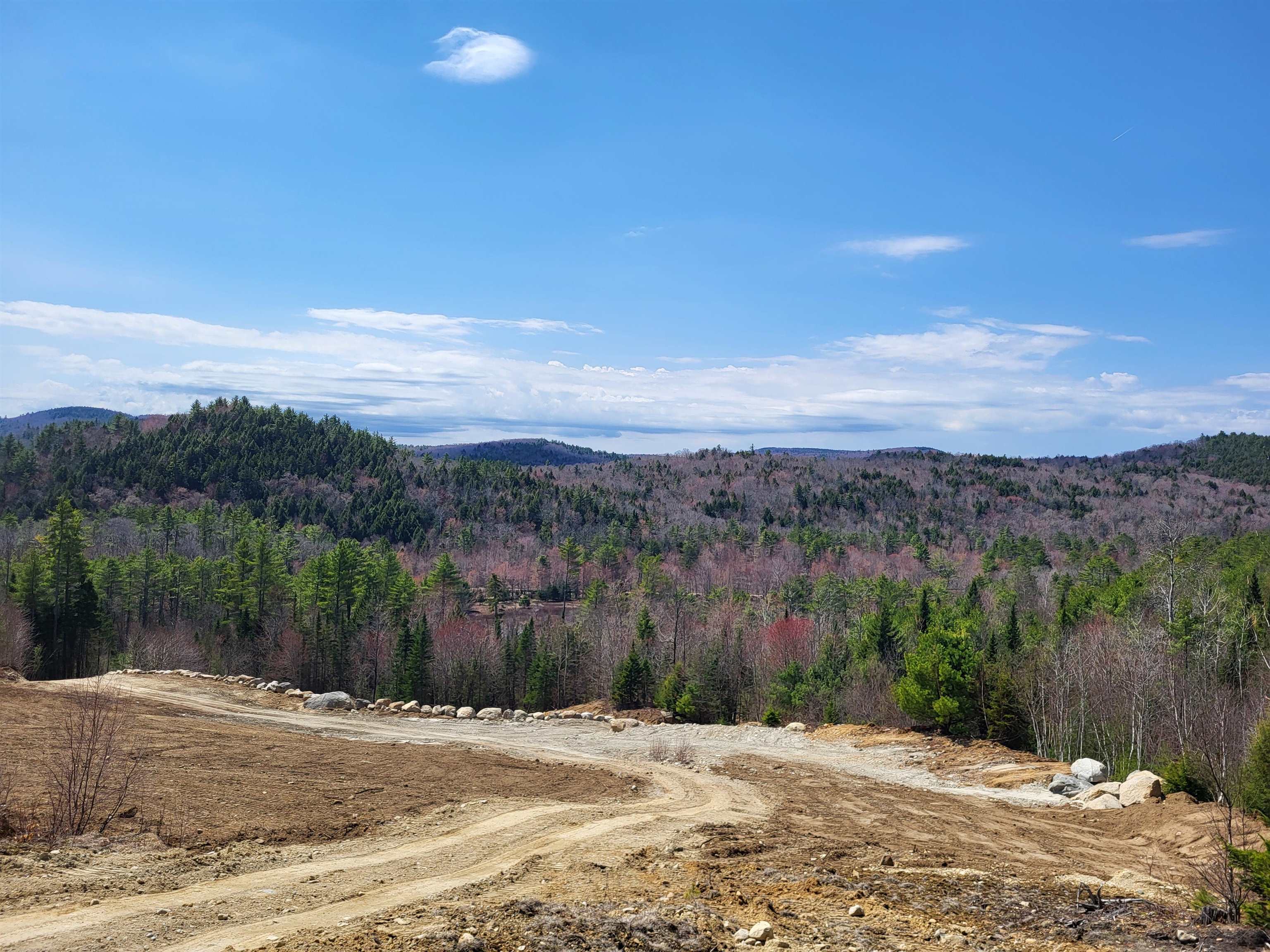 Map 406 Lot 169 Us Route 4 Property Photo 11