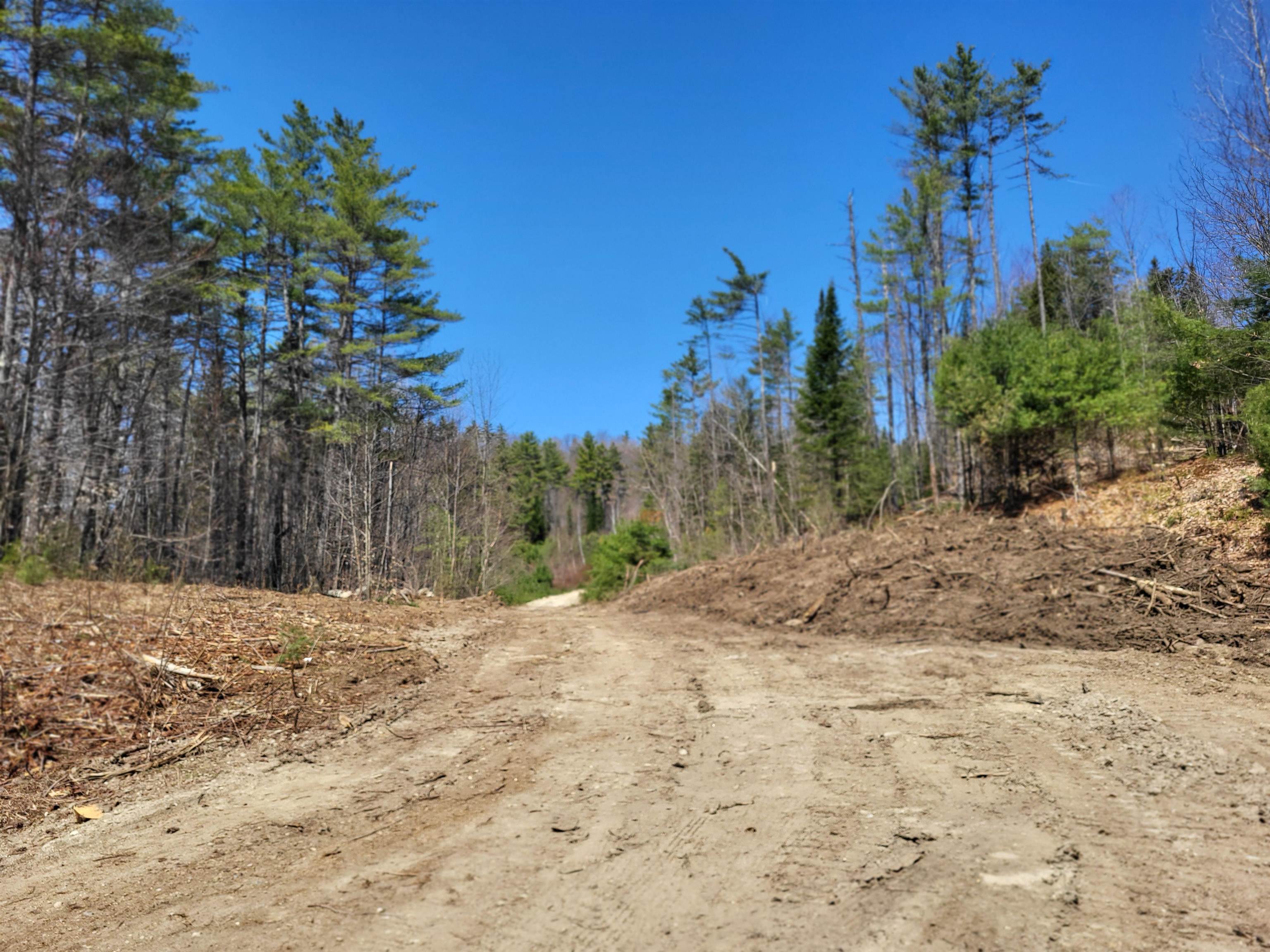 Map 406 Lot 169 Us Route 4 Property Photo 12