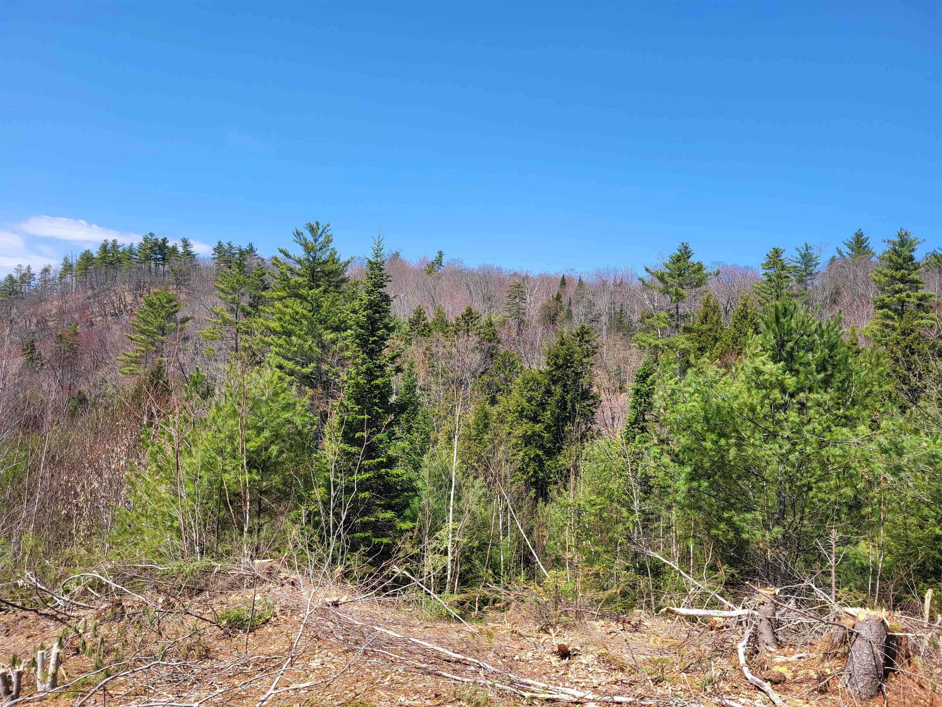 Map 406 Lot 169 Us Route 4 Property Photo 14