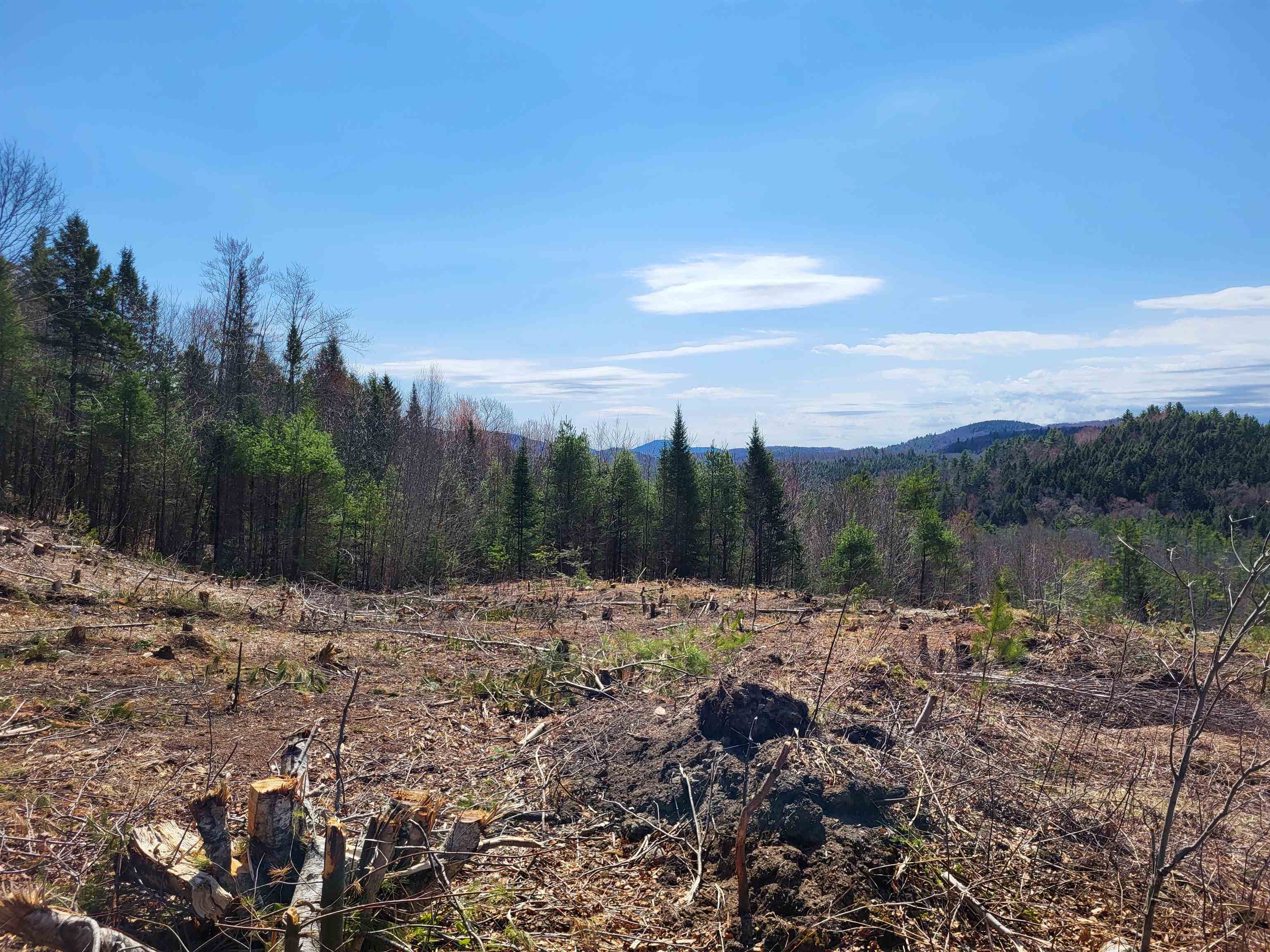 Map 406 Lot 169 Us Route 4 Property Photo 15