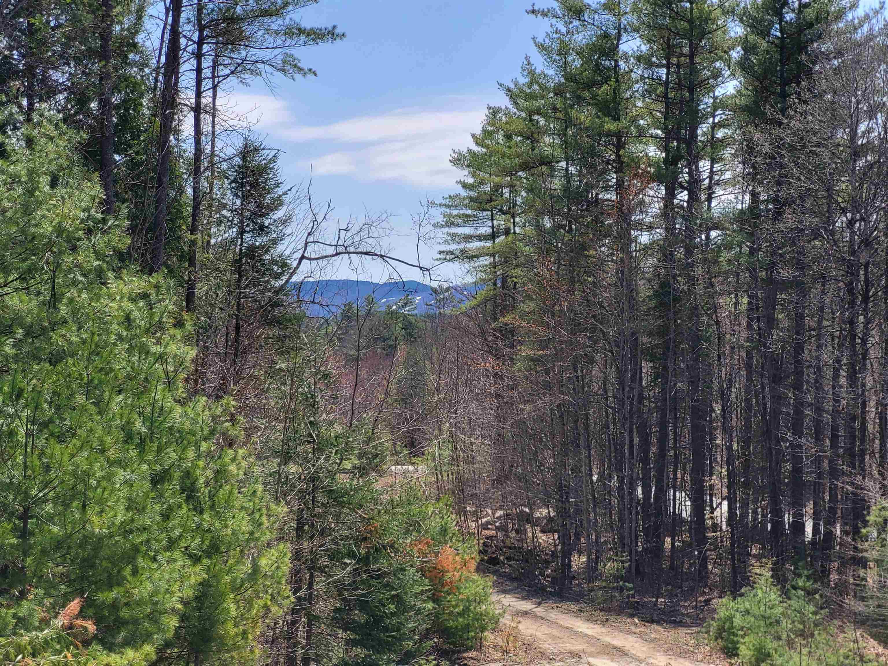Map 406 Lot 169 Us Route 4 Property Photo 17