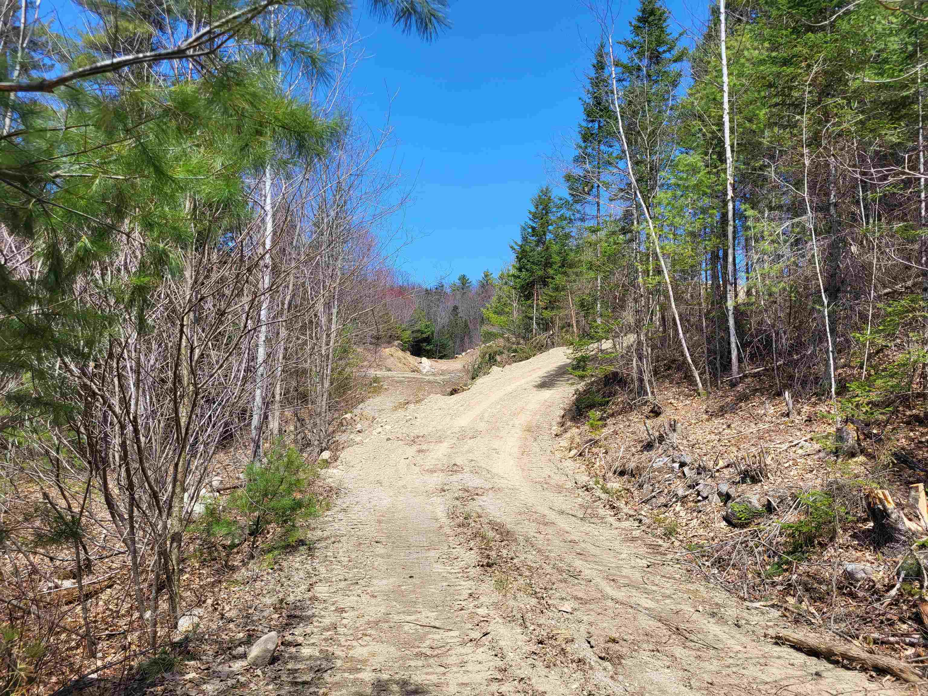 Map 406 Lot 169 Us Route 4 Property Photo 18