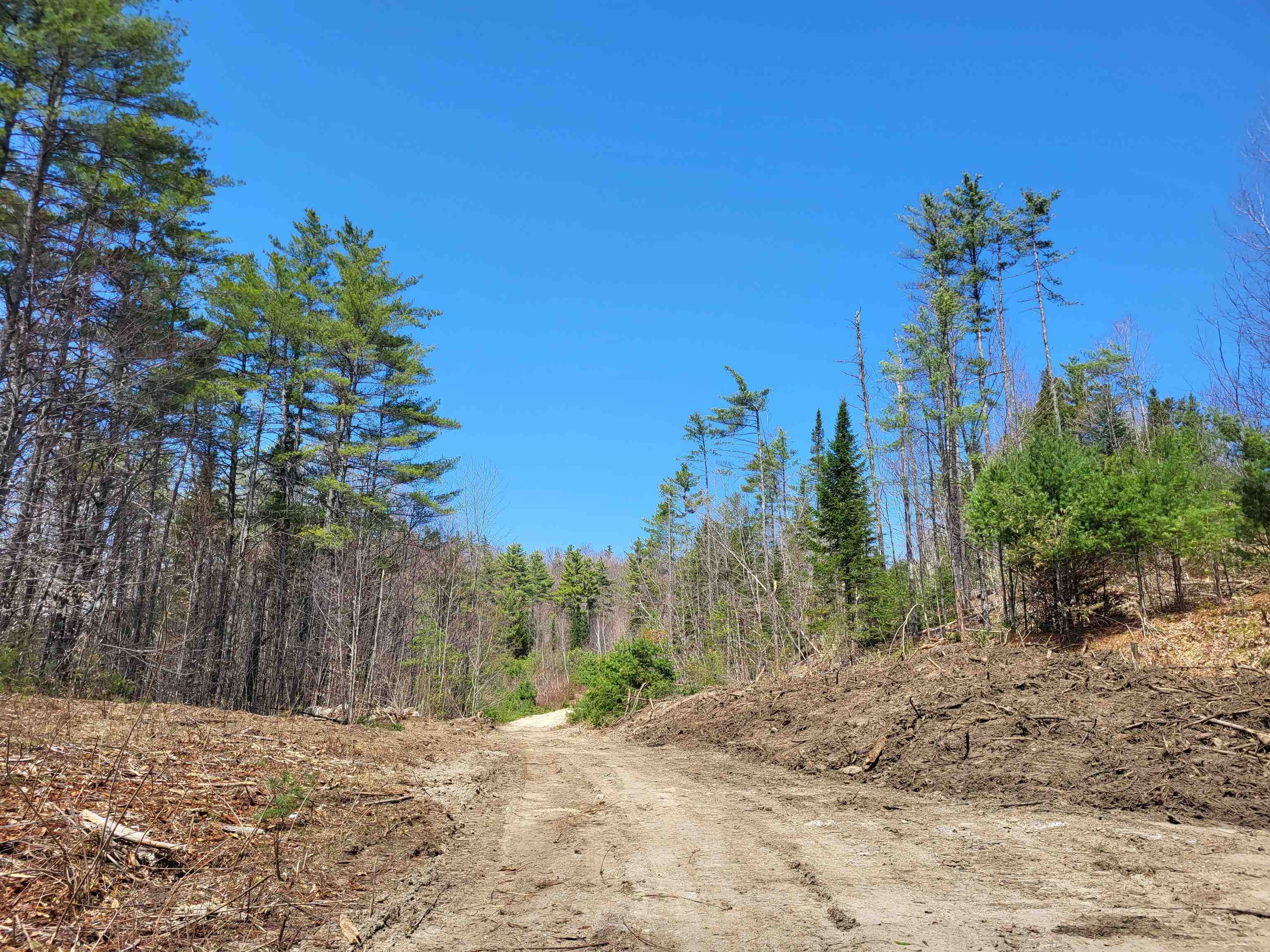 Map 406 Lot 169 Us Route 4 Property Photo 21