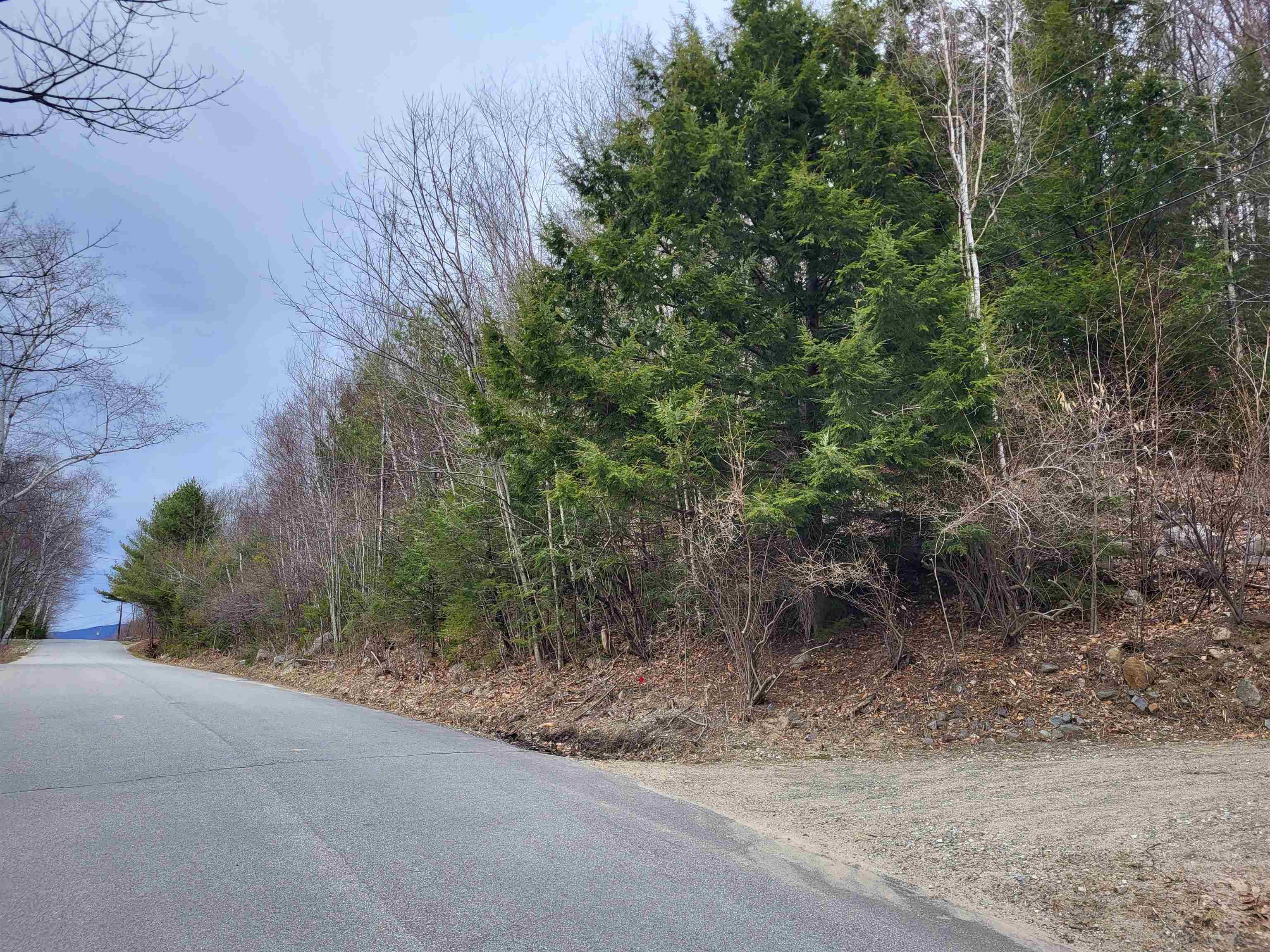Map 406 Lot 169 Us Route 4 Property Photo 23