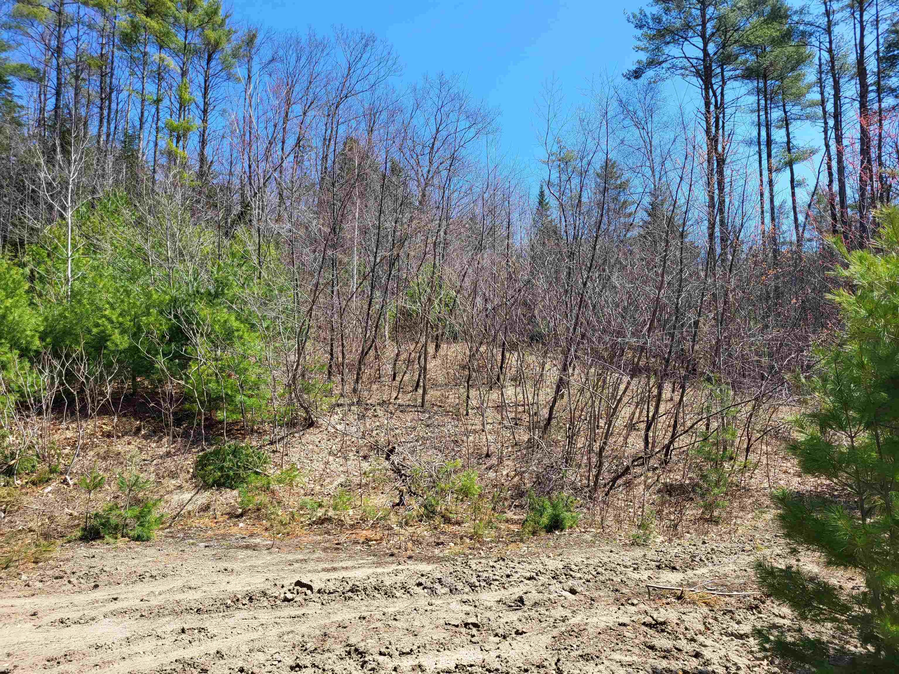 Map 406 Lot 169 Us Route 4 Property Photo 24