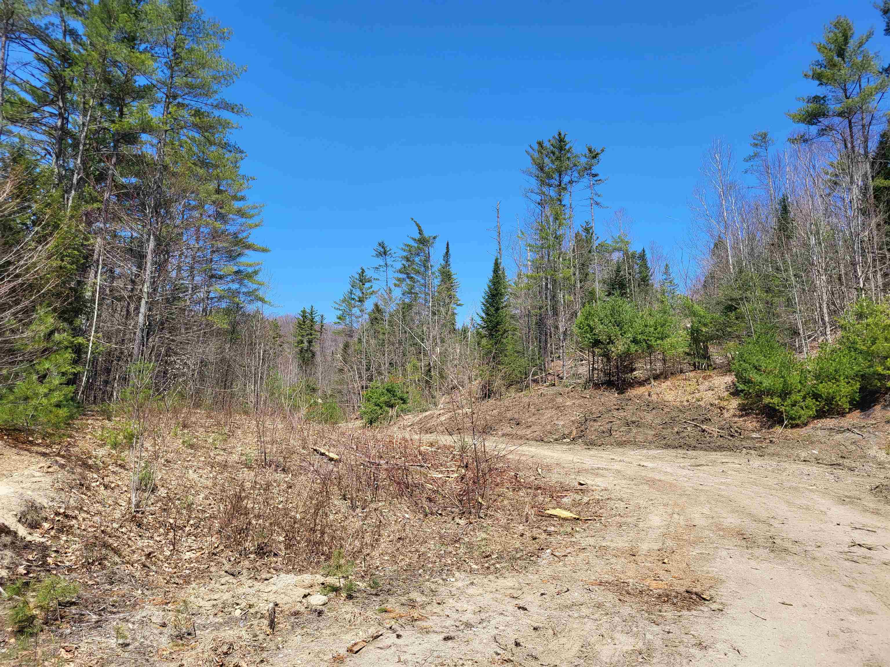 Map 406 Lot 169 Us Route 4 Property Photo 25