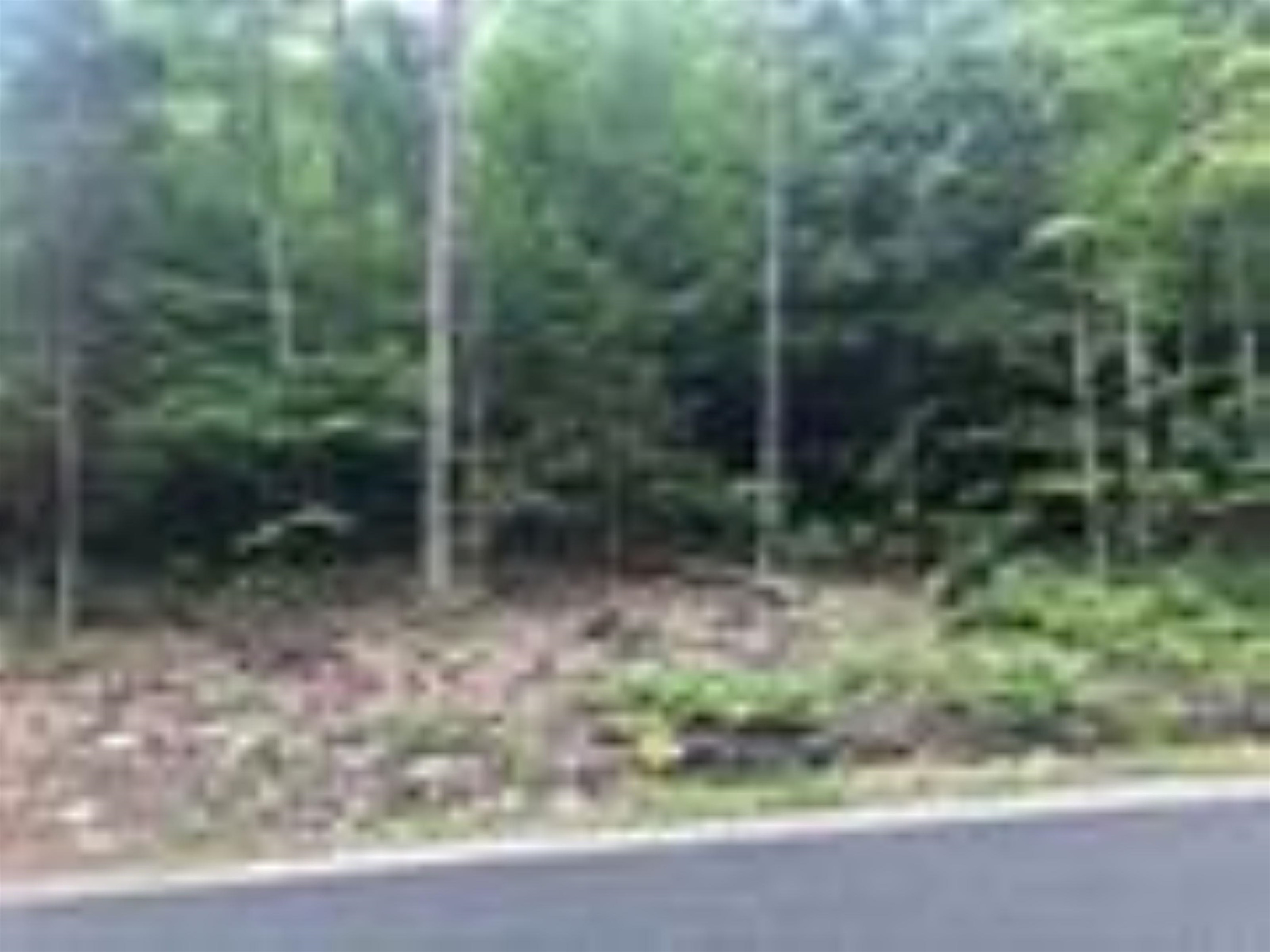 French Pond Road Property Photo 1