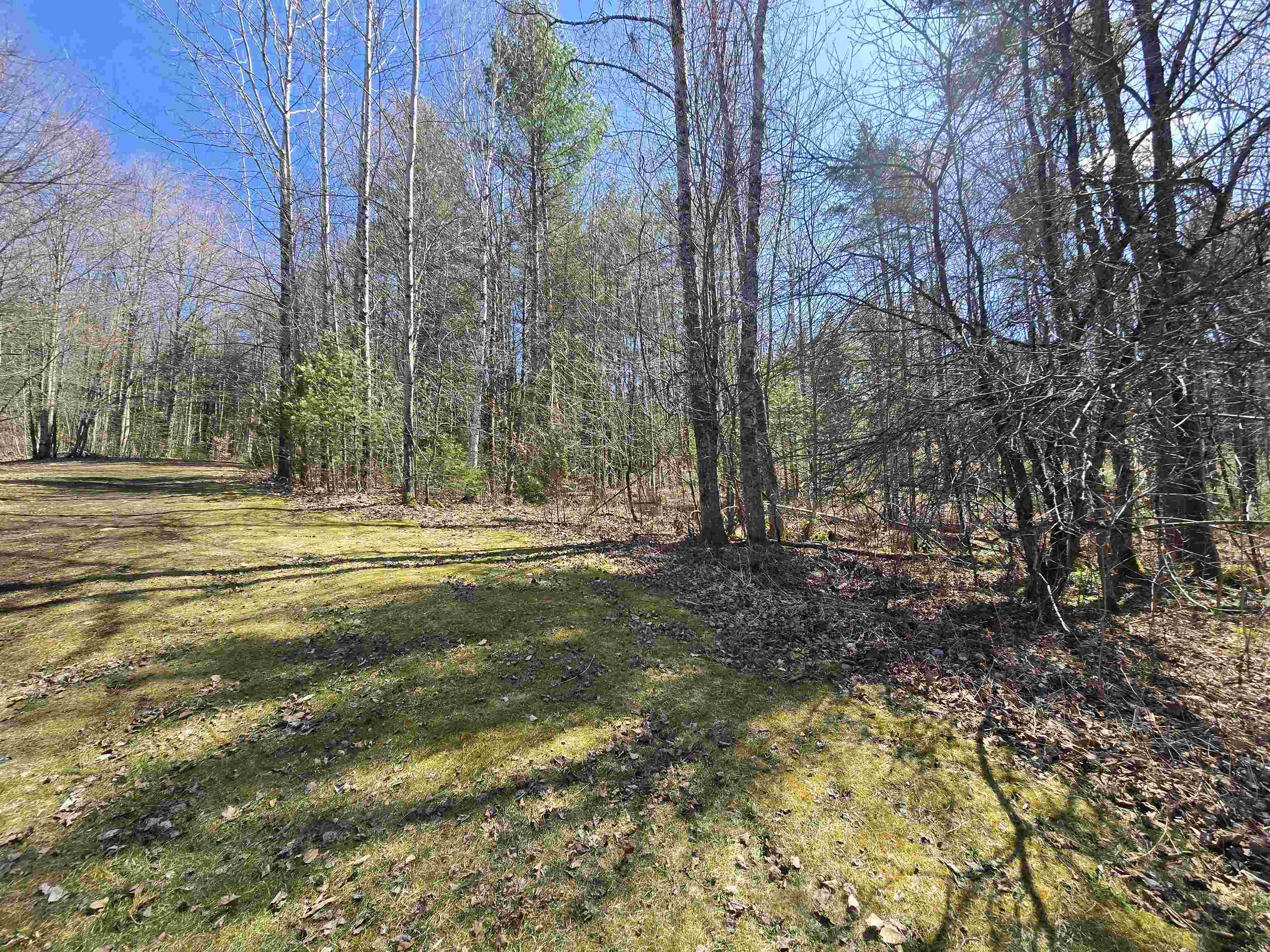 236 Mace Road Property Photo 12