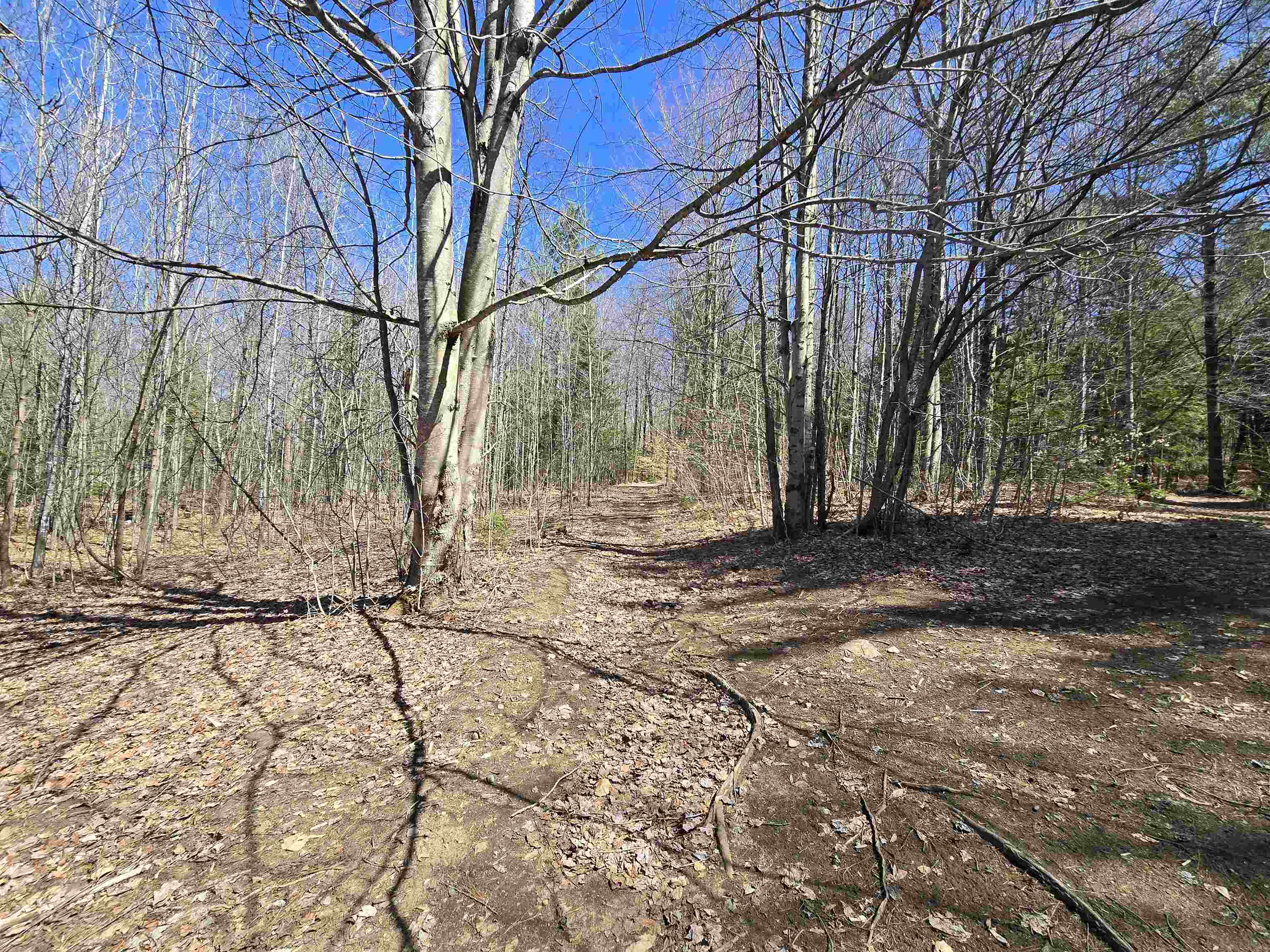 236 Mace Road Property Photo 13