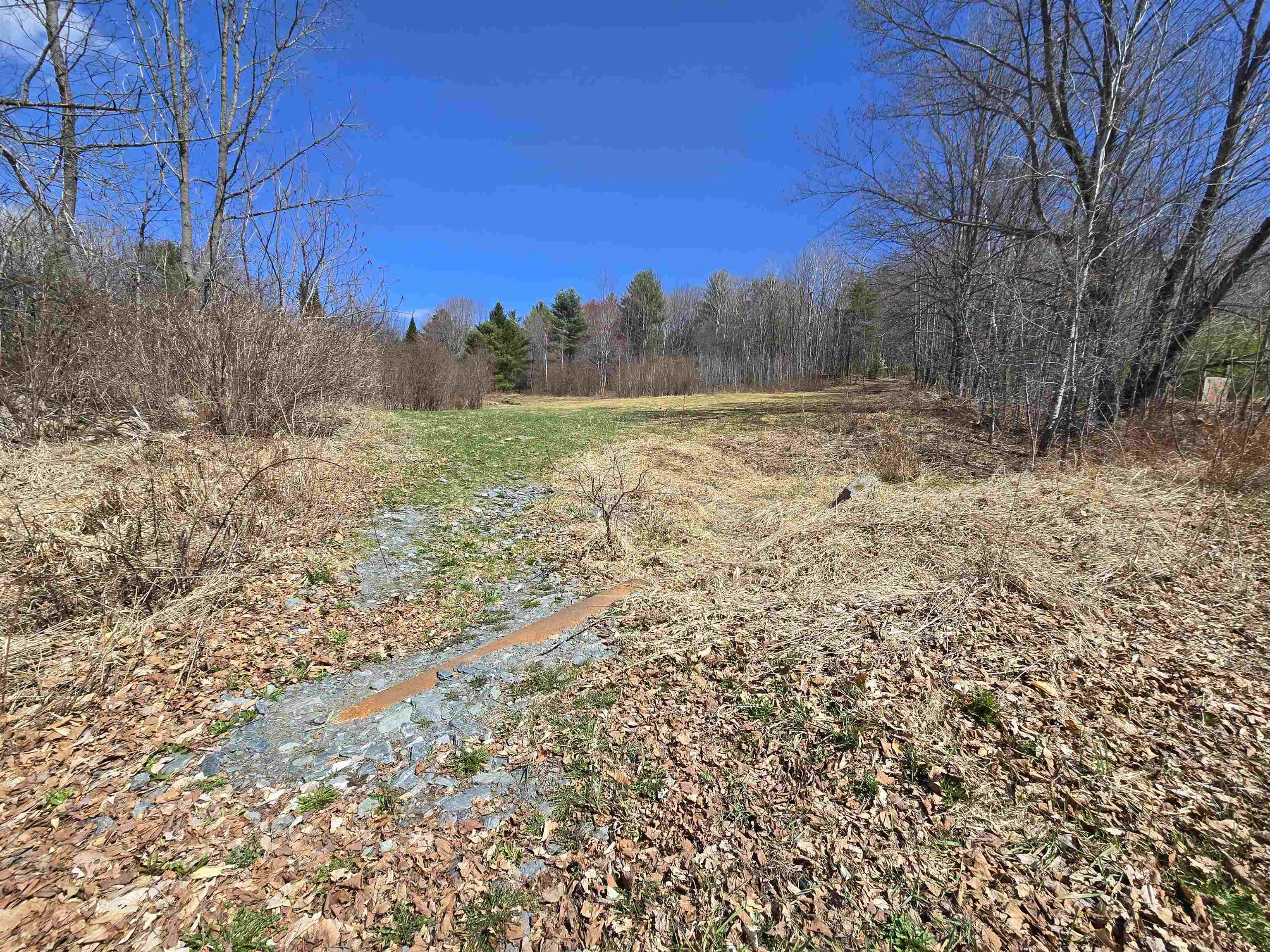 236 Mace Road Property Photo 24