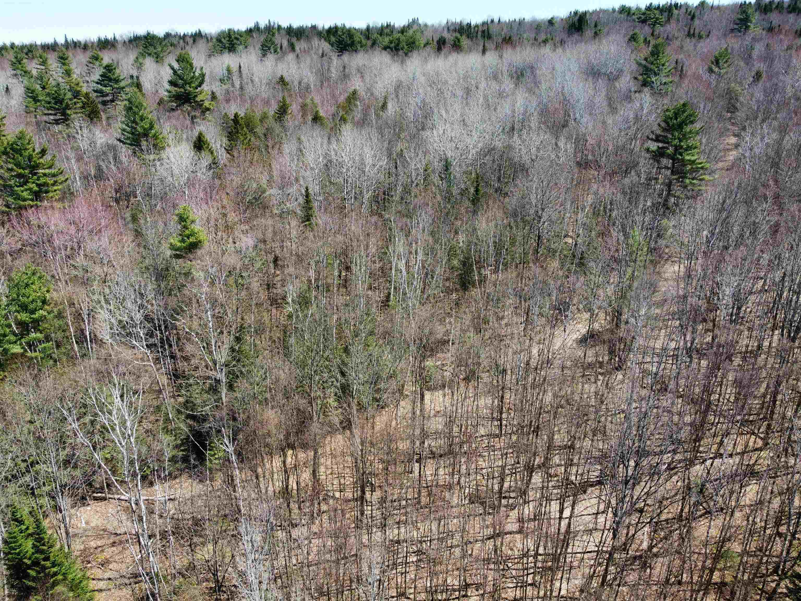 236 Mace Road Property Photo 58