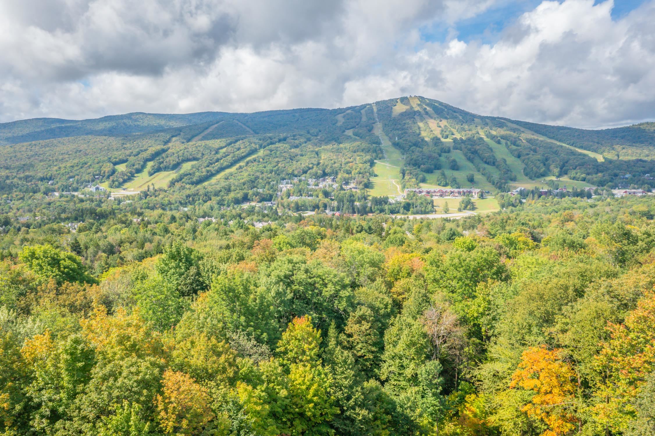 70 Overlook Drive Property Photo 1