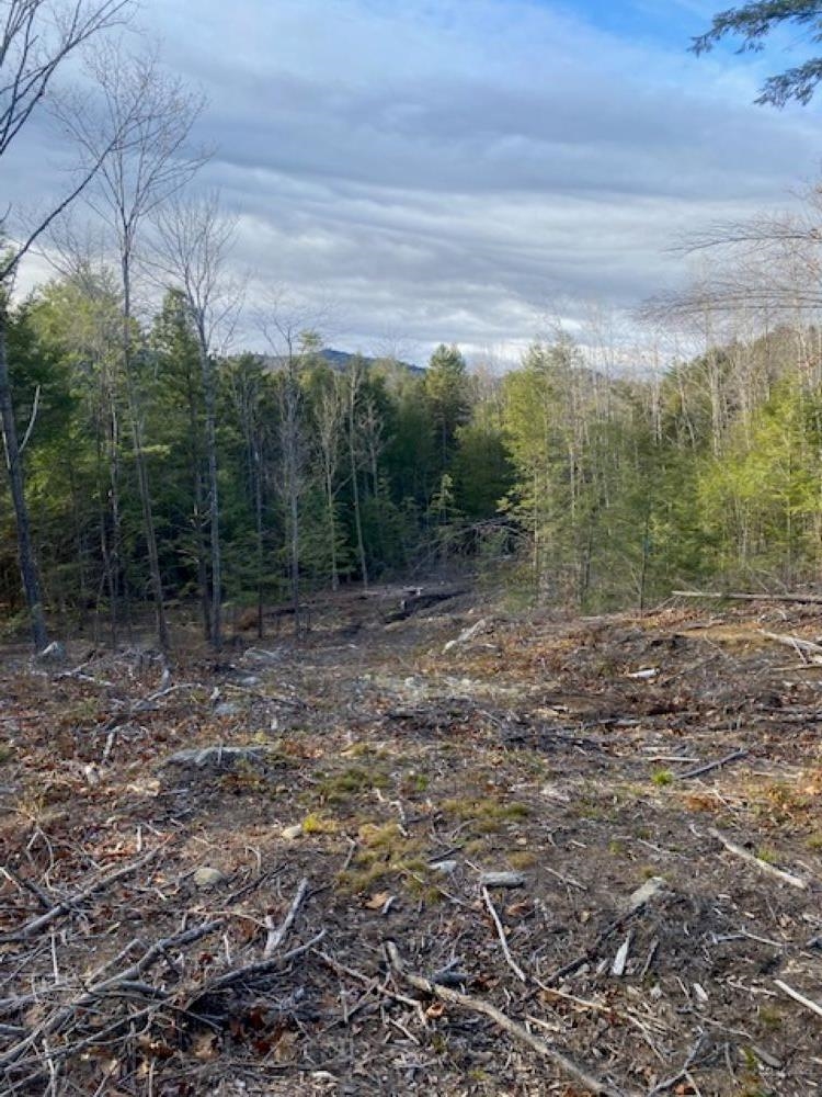 15-12-10-13 Jacob Hall Farm Road Property Photo 3