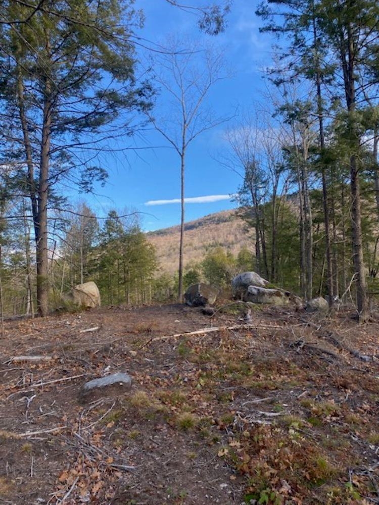 15-12-10-13 Jacob Hall Farm Road Property Photo 6