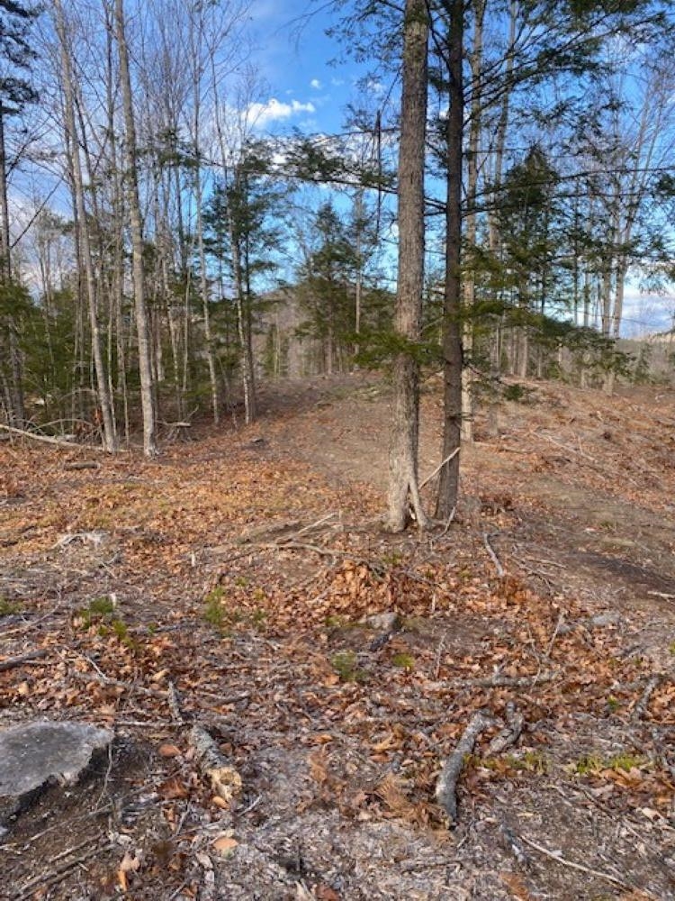 15-12-10-6 Jacob Hall Farm Road Property Photo 3