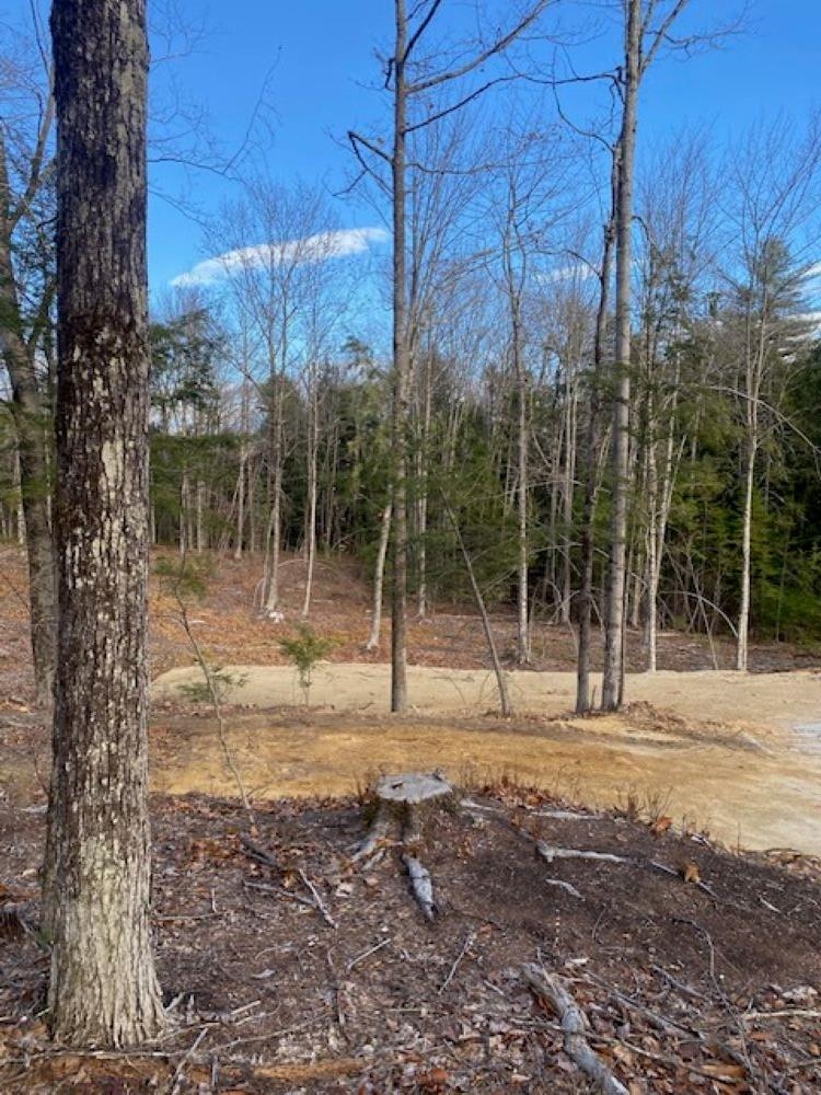 15-12-10-6 Jacob Hall Farm Road Property Photo 4