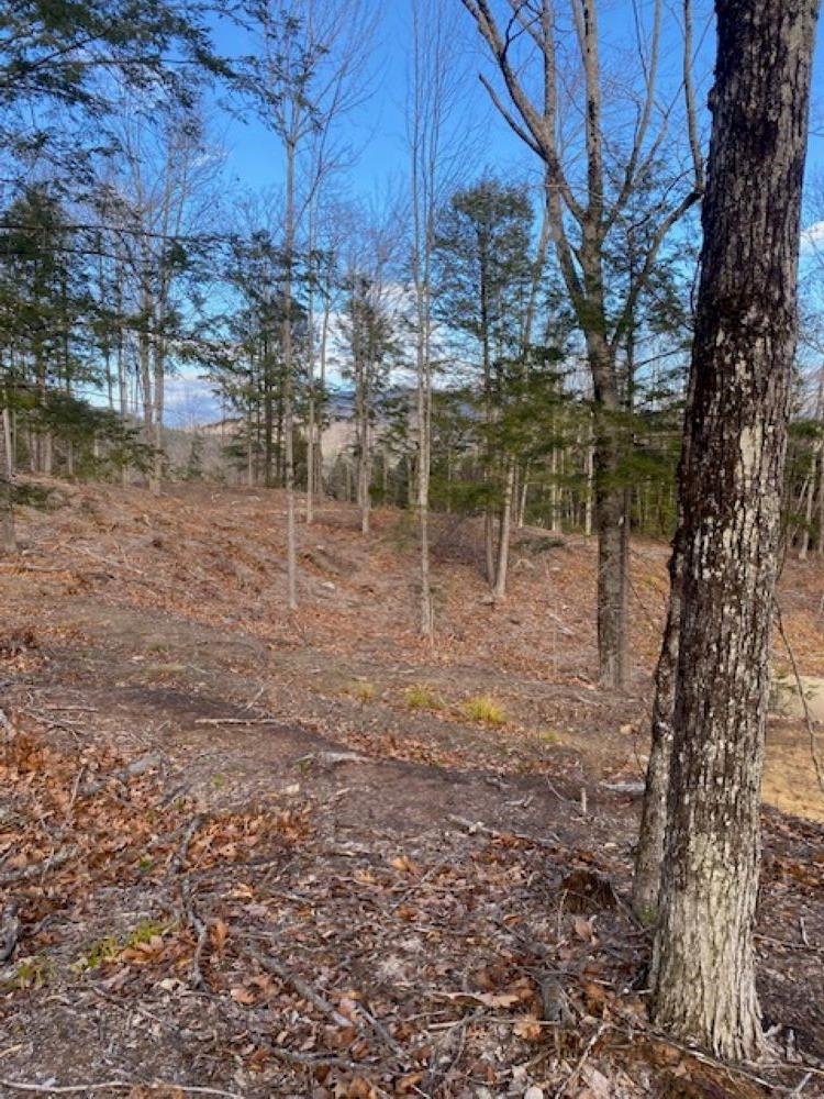 15-12-10-6 Jacob Hall Farm Road Property Photo 5