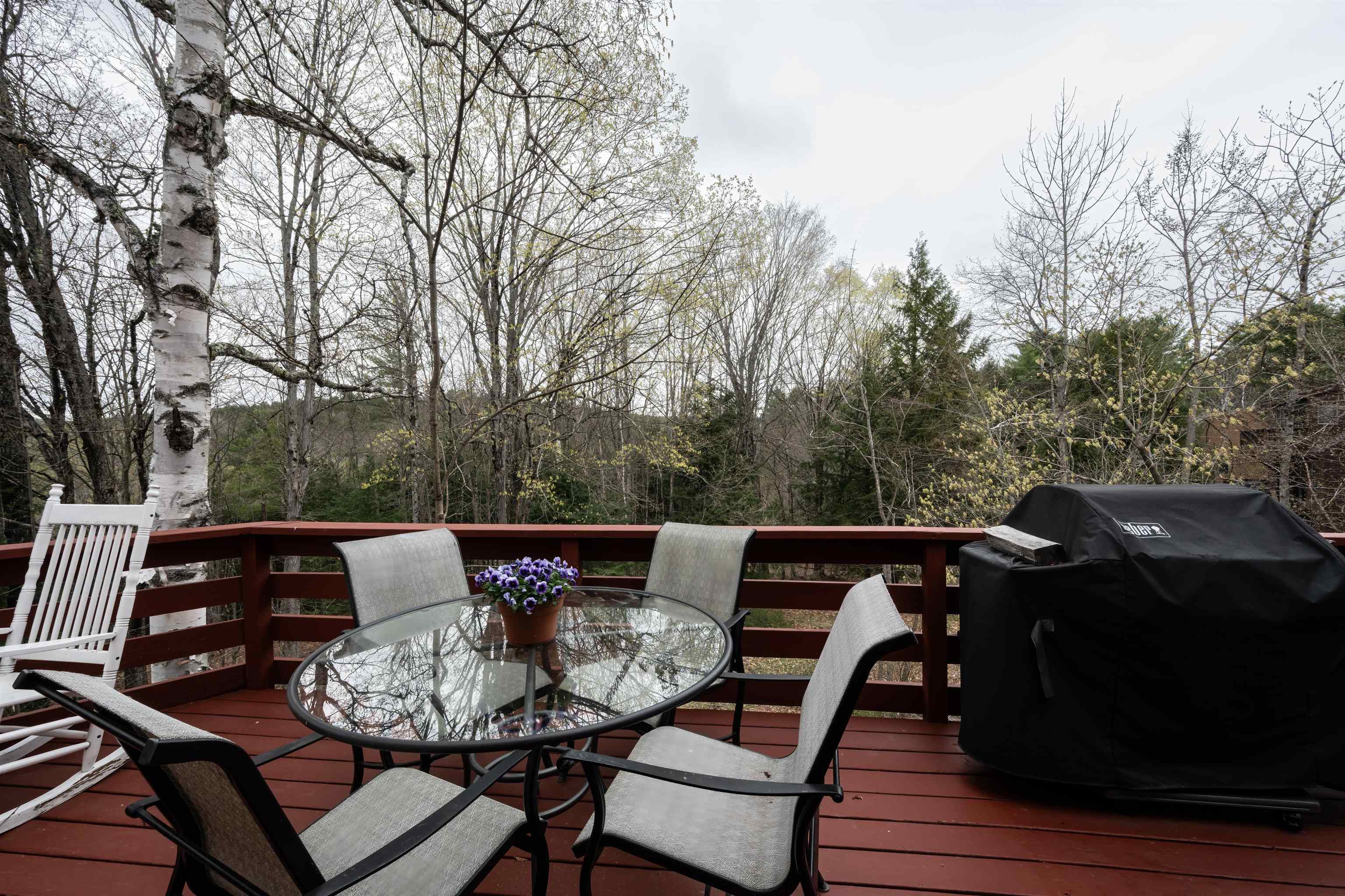 355 Lyman Batcheller Road Property Photo 28